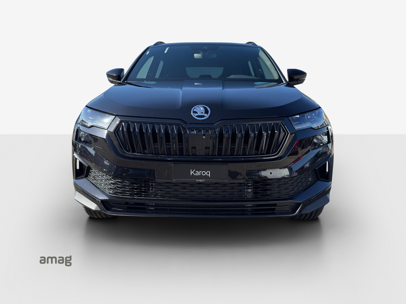 SKODA Karoq 1.5 TSI Dynamic DSG-image-6