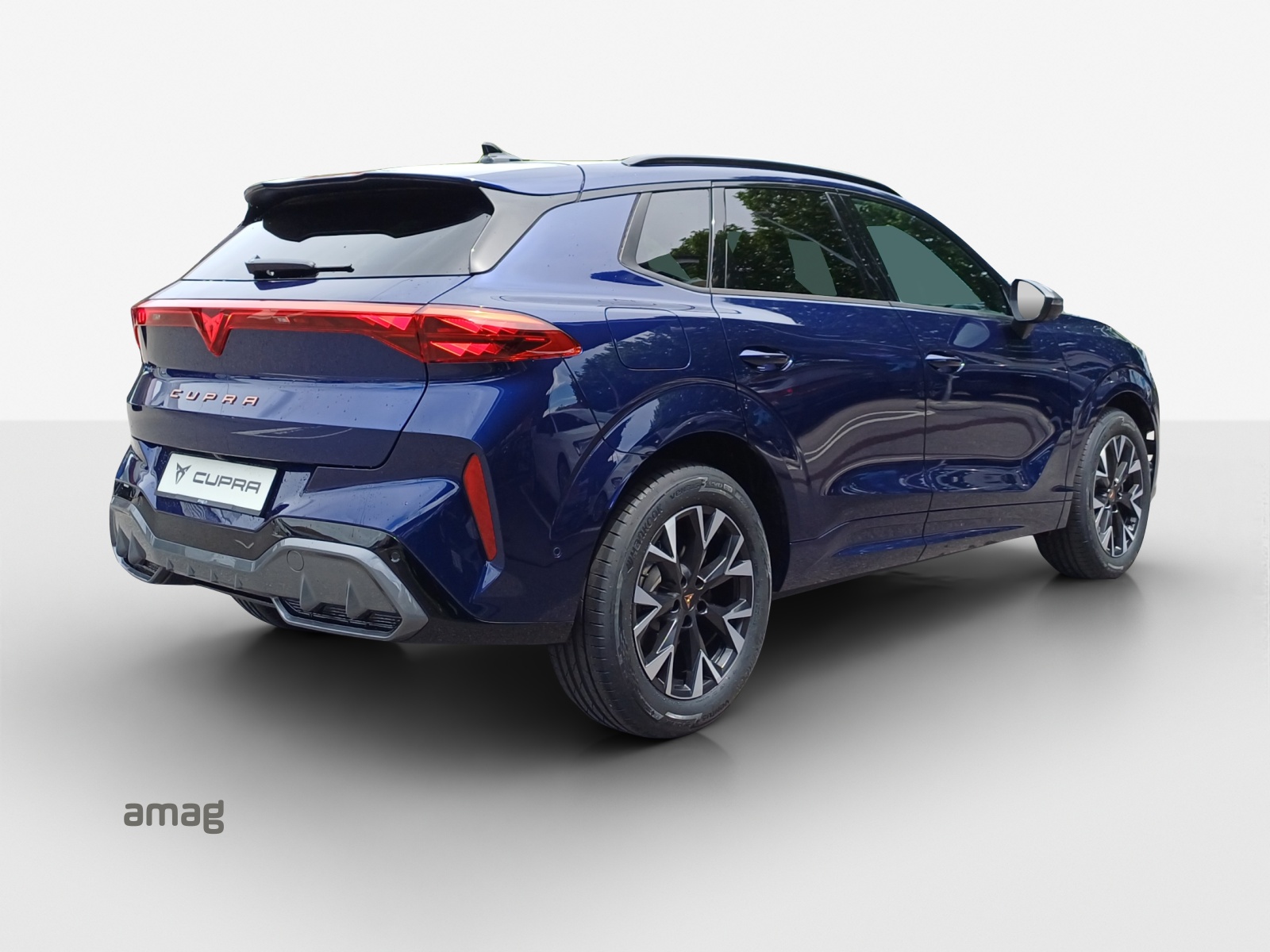 CUPRA Terramar 2.0 TSI DSG 4Drive-image-4
