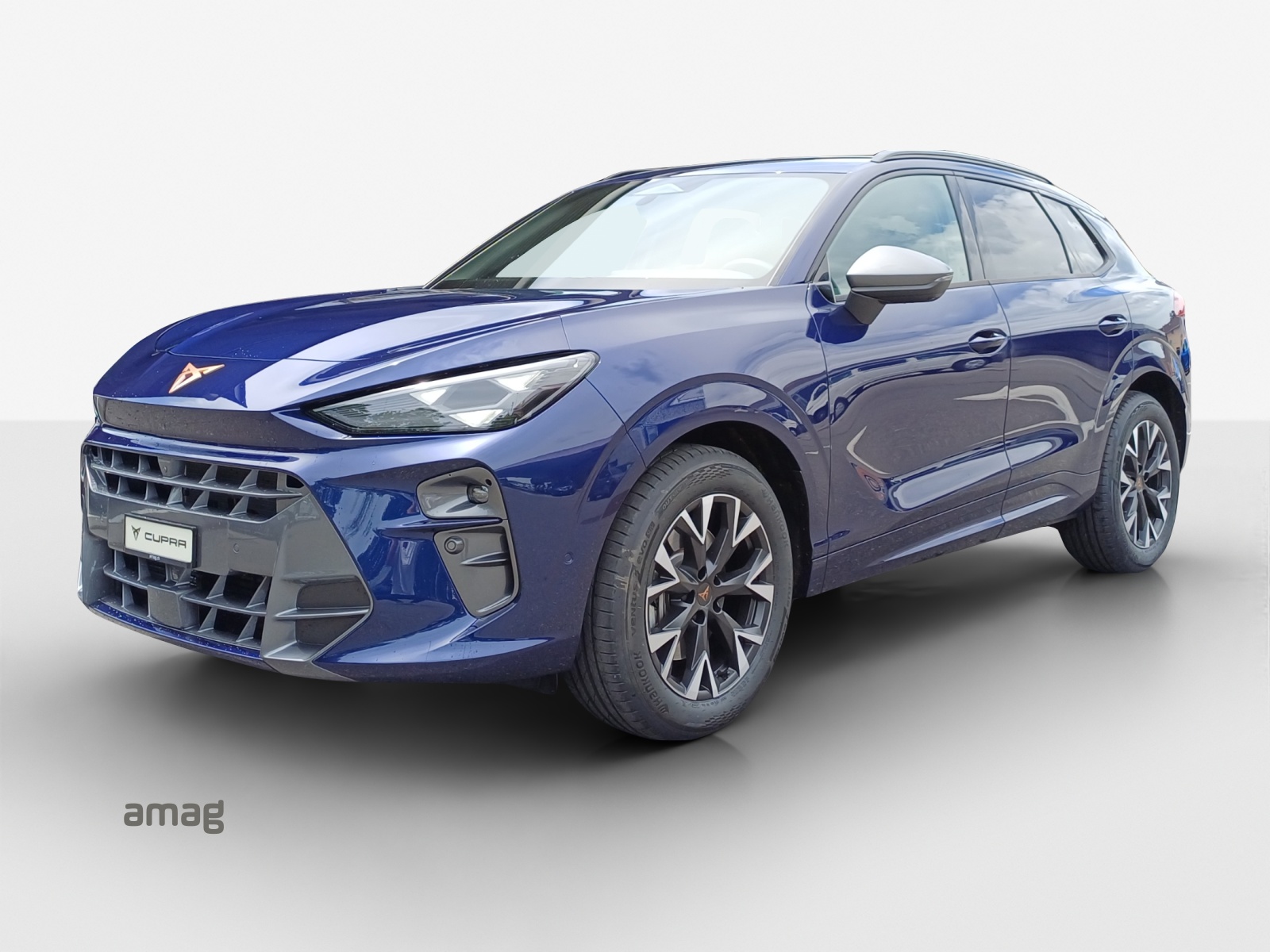CUPRA Terramar 2.0 TSI DSG 4Drive-image-0