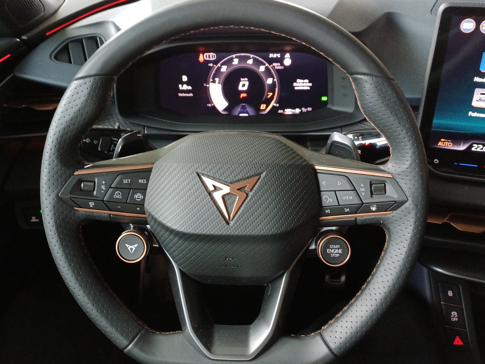 CUPRA Terramar 2.0 TSI DSG 4Drive-image-9
