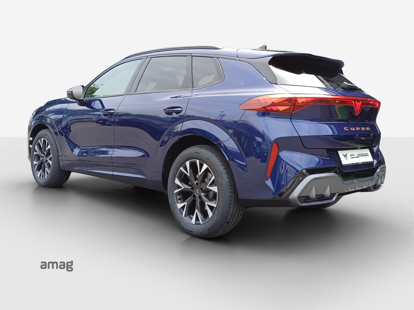 CUPRA Terramar 2.0 TSI DSG 4Drive-image-2
