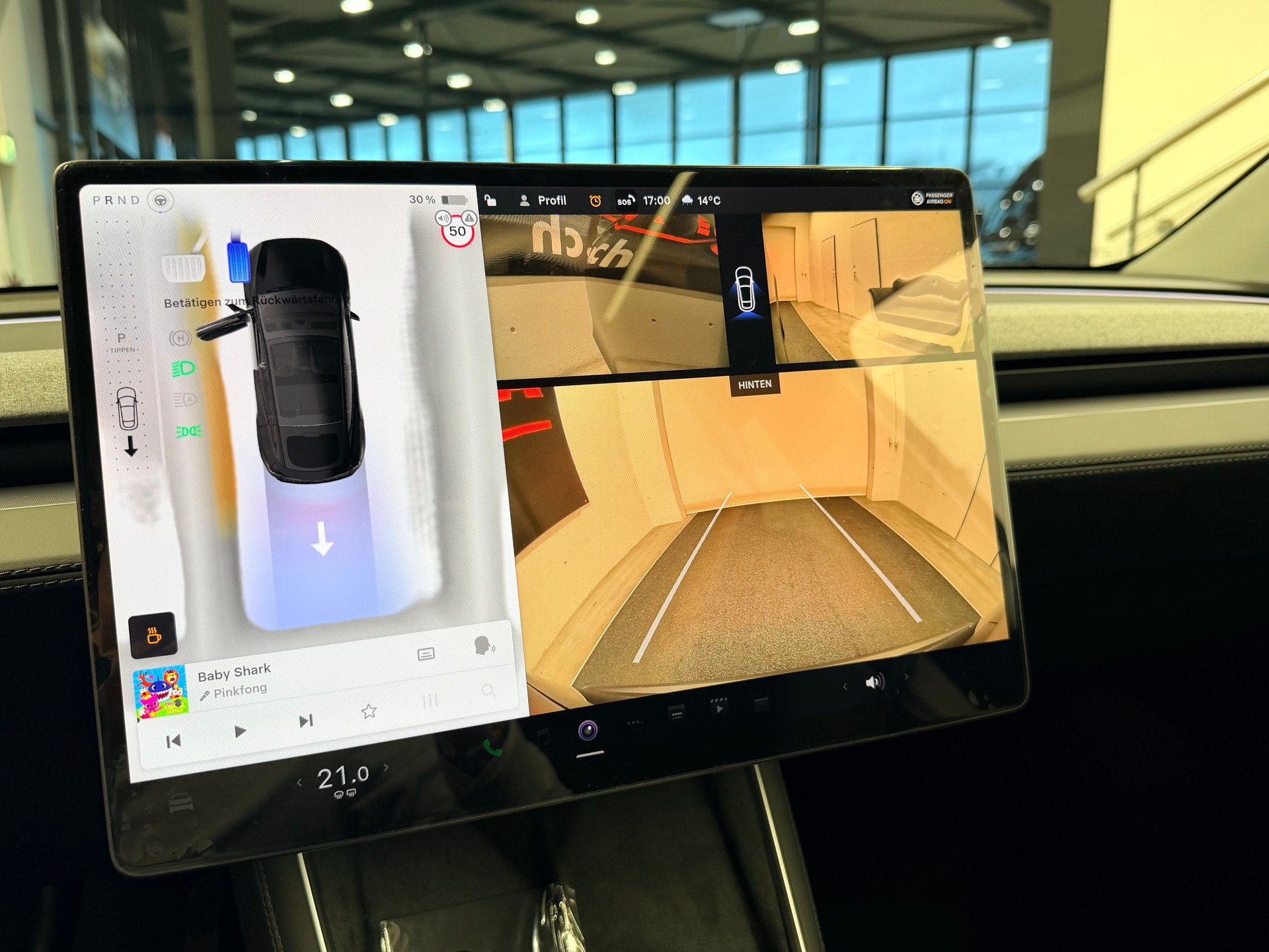 TESLA Model Y Long Range Premium AWD-image-23