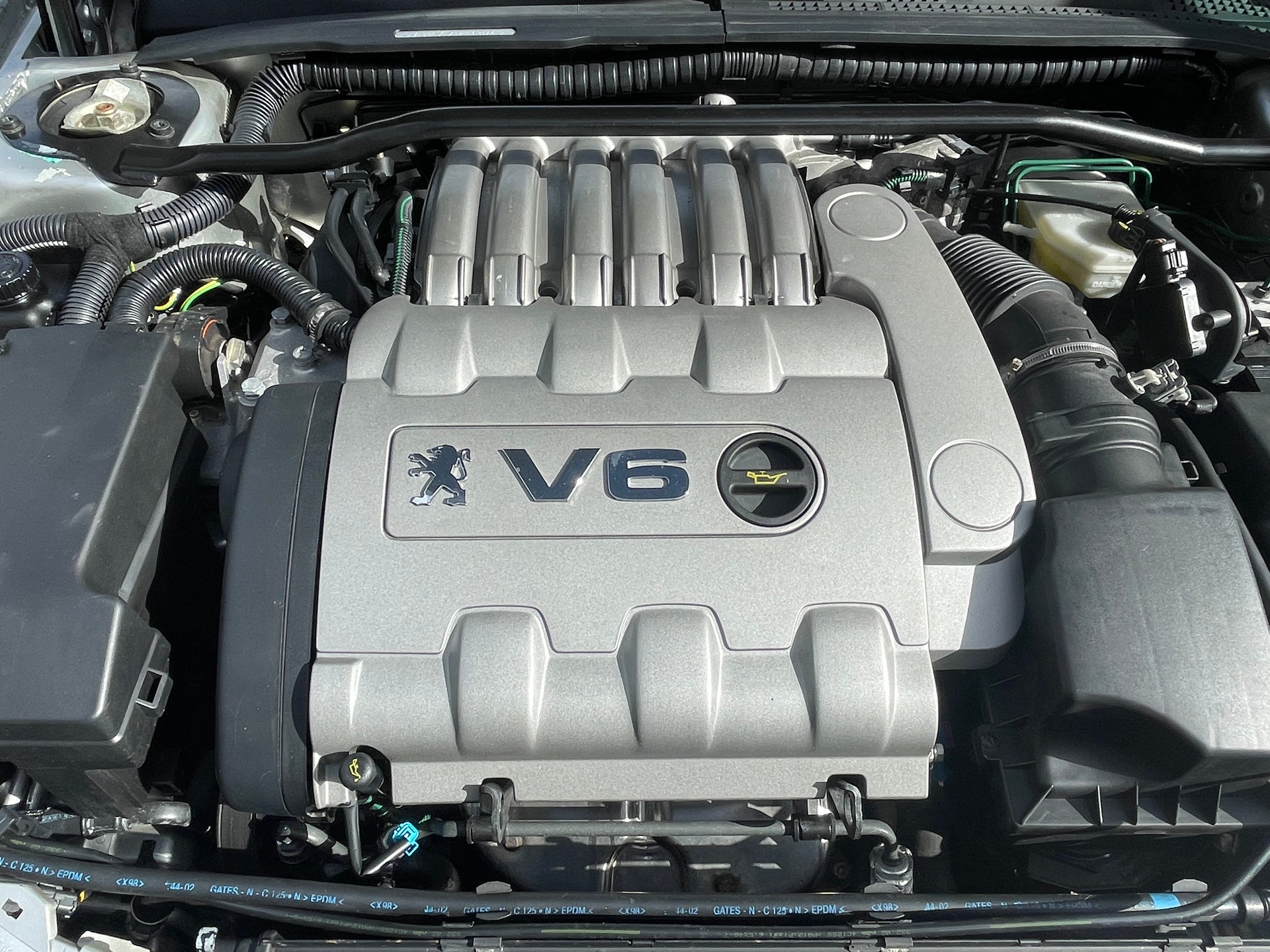 PEUGEOT 406 Coupé 3.0 V6 Pininfarina-image-13