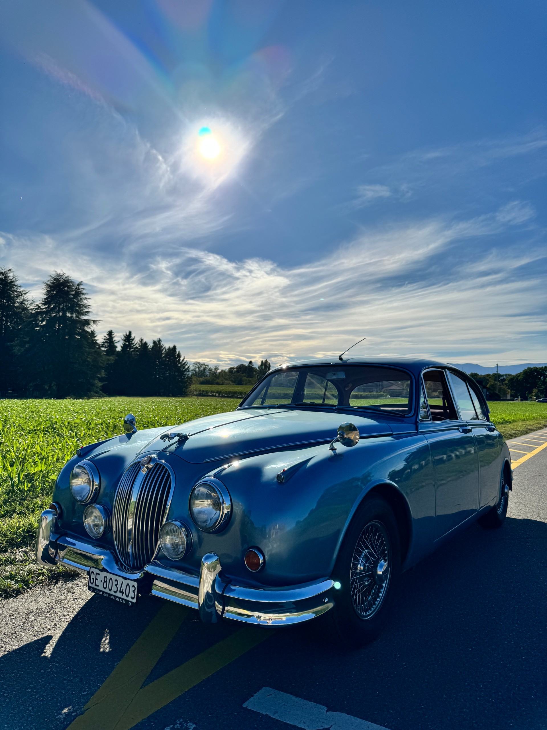 JAGUAR 3.8 - Statut Vétéran-image-1
