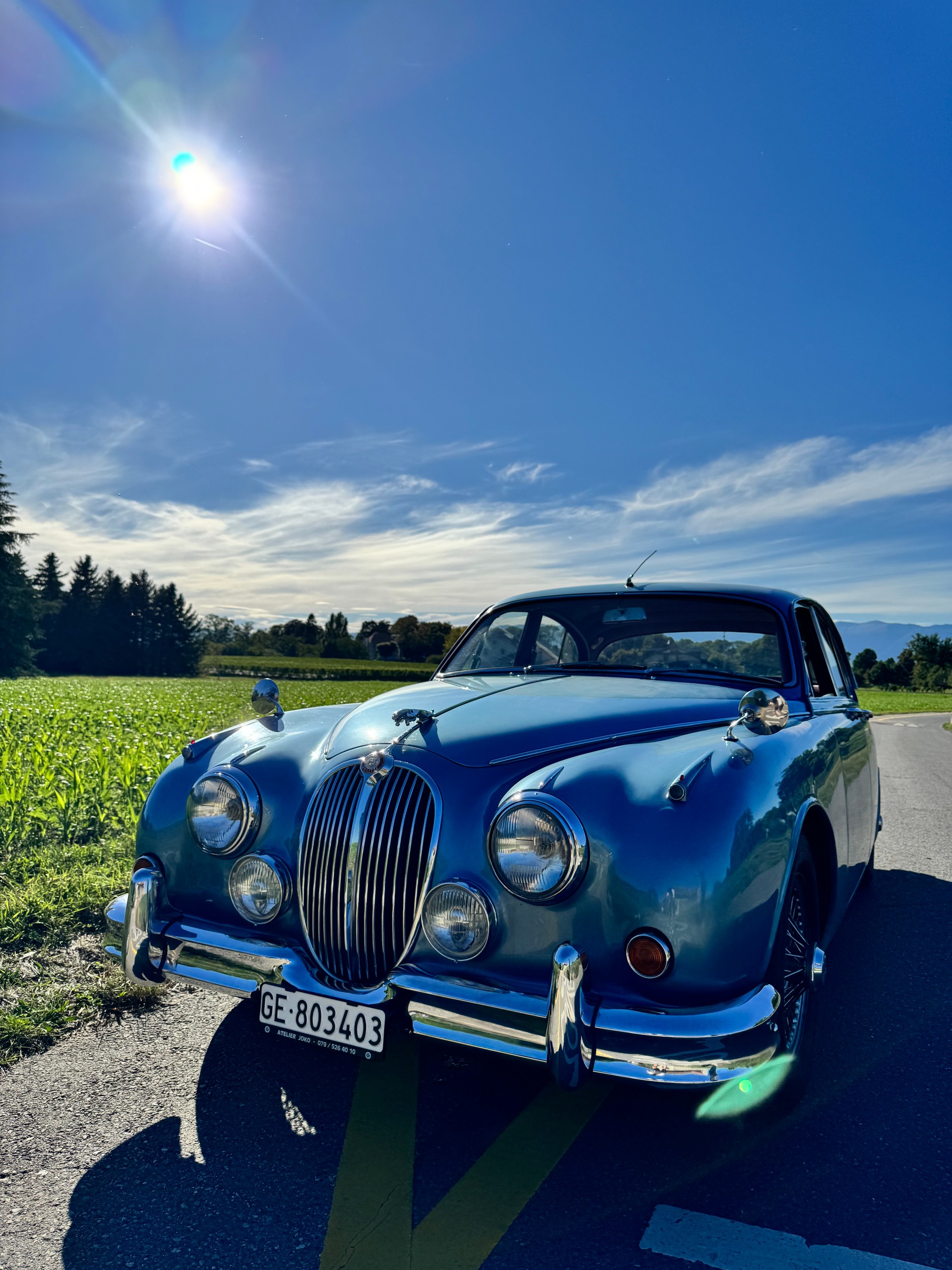 JAGUAR 3.8 - Statut Vétéran-image-0