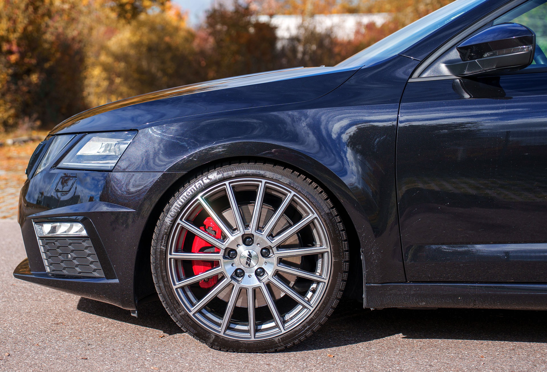 SKODA Octavia Combi 2.0 TSI RS DSG-image-4