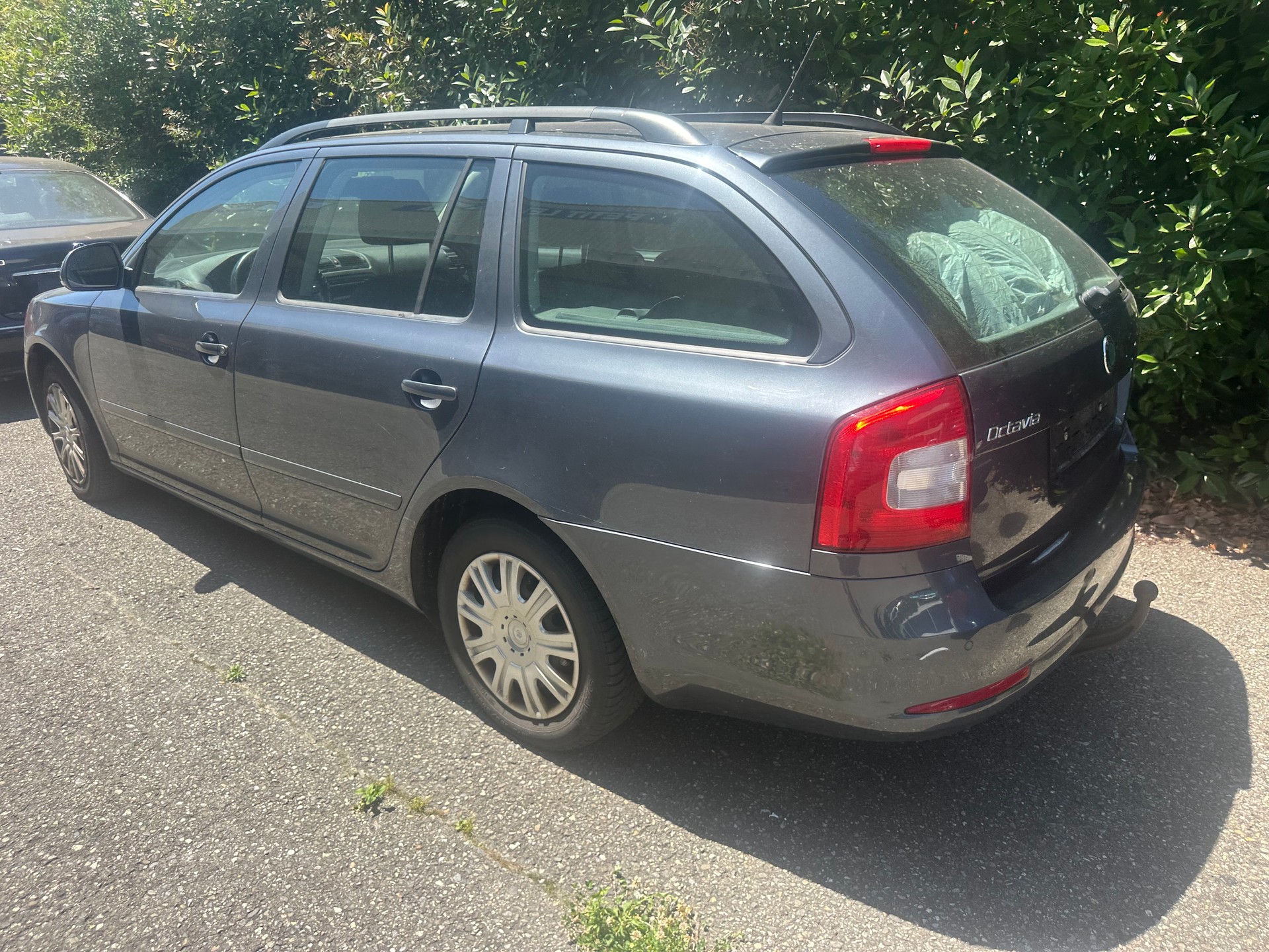 SKODA Octavia Combi 1.6 TDI Clever DSG-image-9