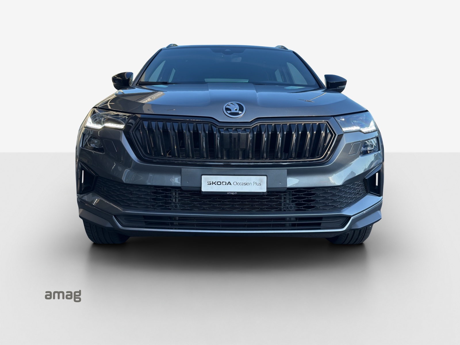 SKODA Karoq 1.5 TSI SportLine DSG-image-6