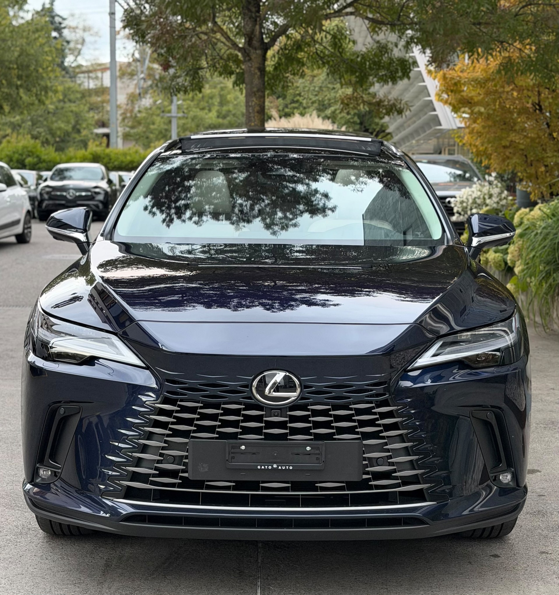 LEXUS RX 450h+ Ecxellence AWD CVT-image-5