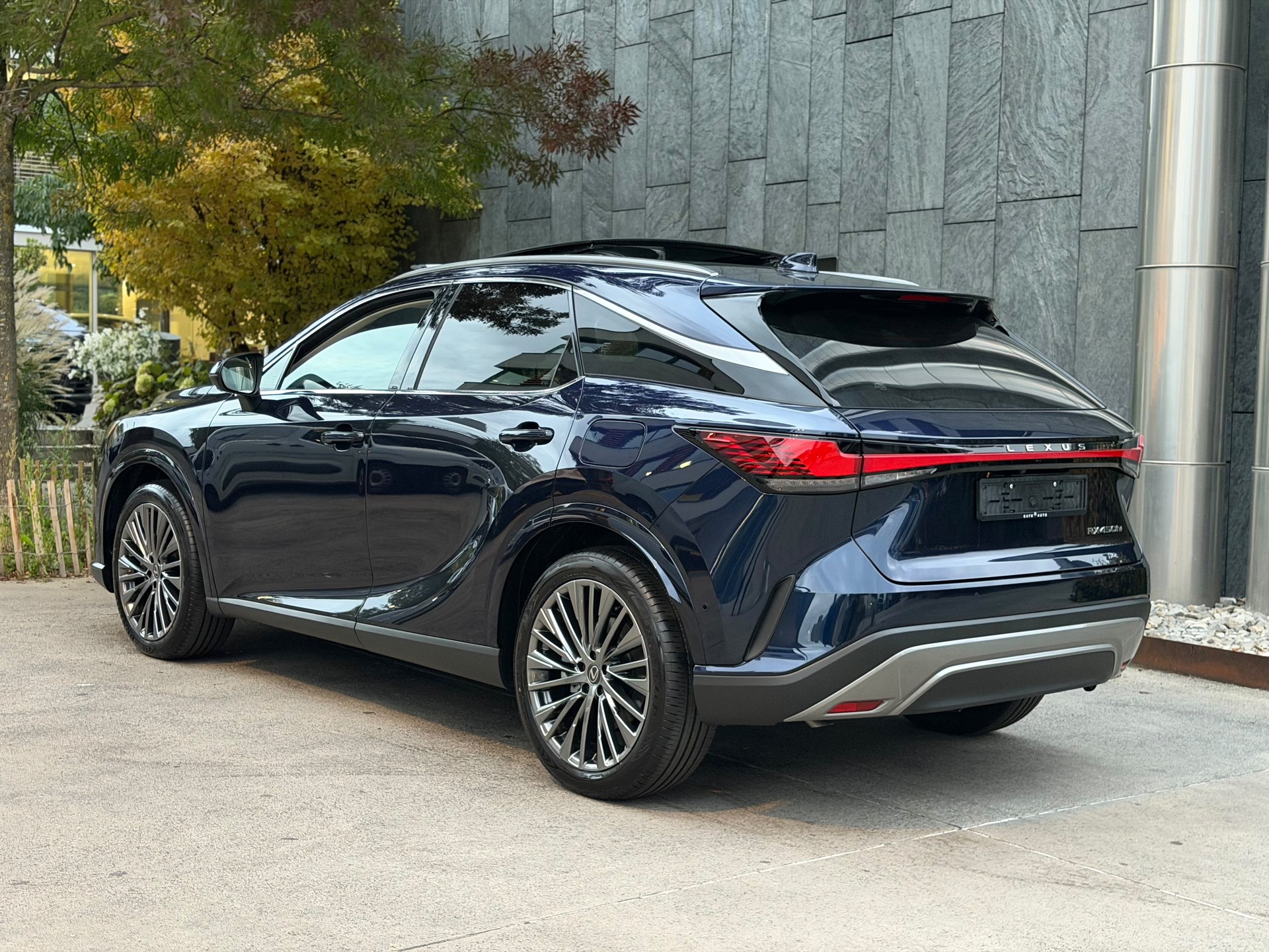 LEXUS RX 450h+ Ecxellence AWD CVT-showroom-element-2