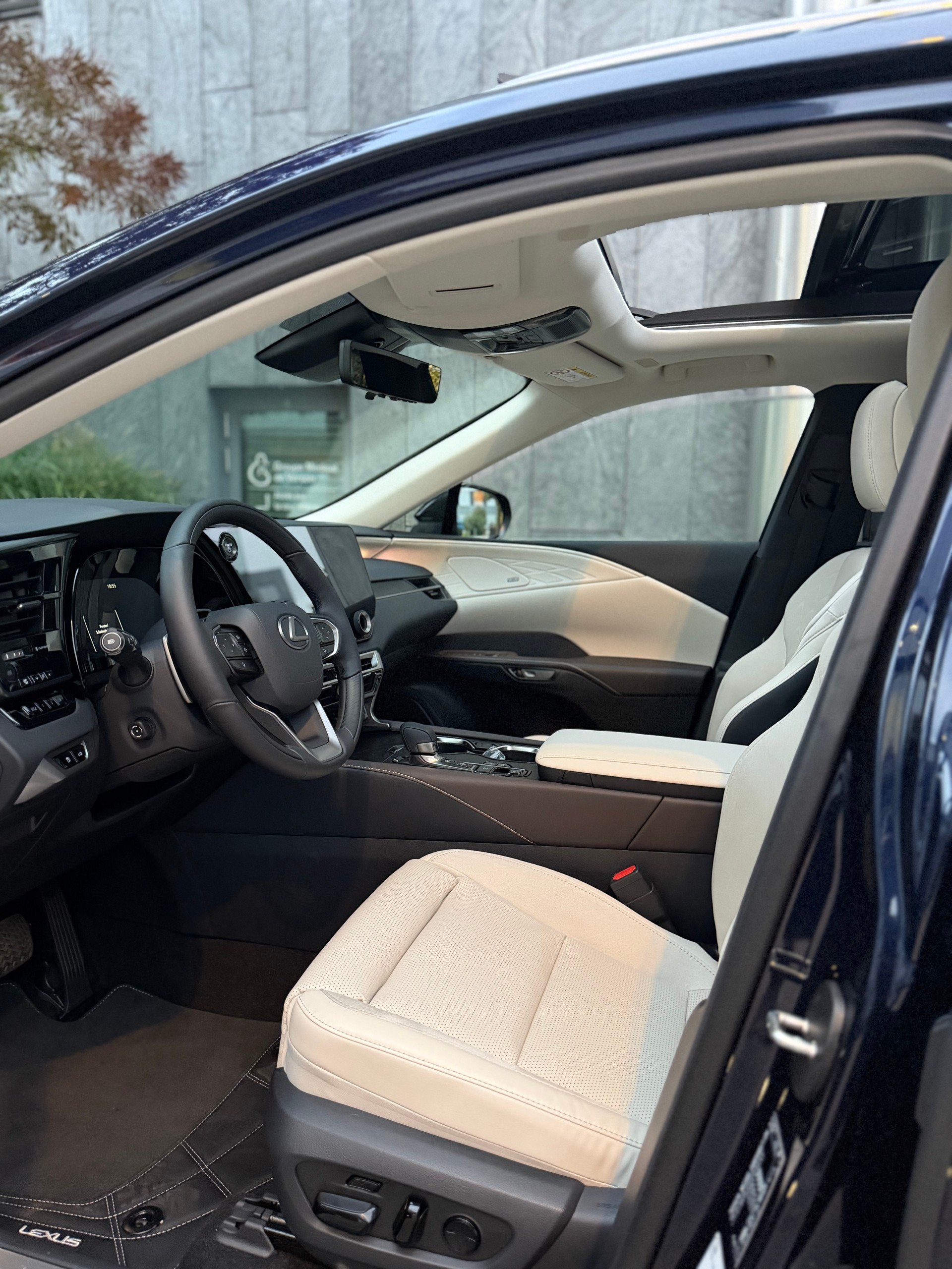 LEXUS RX 450h+ Ecxellence AWD CVT-image-7