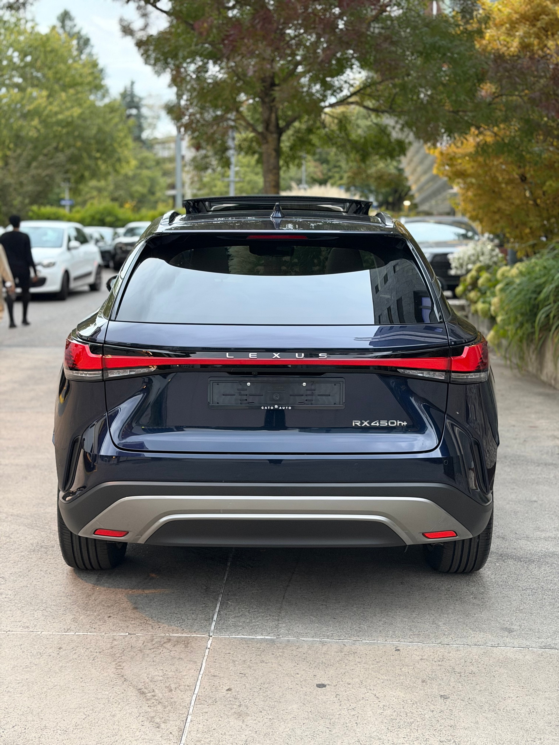 LEXUS RX 450h+ Ecxellence AWD CVT-image-6