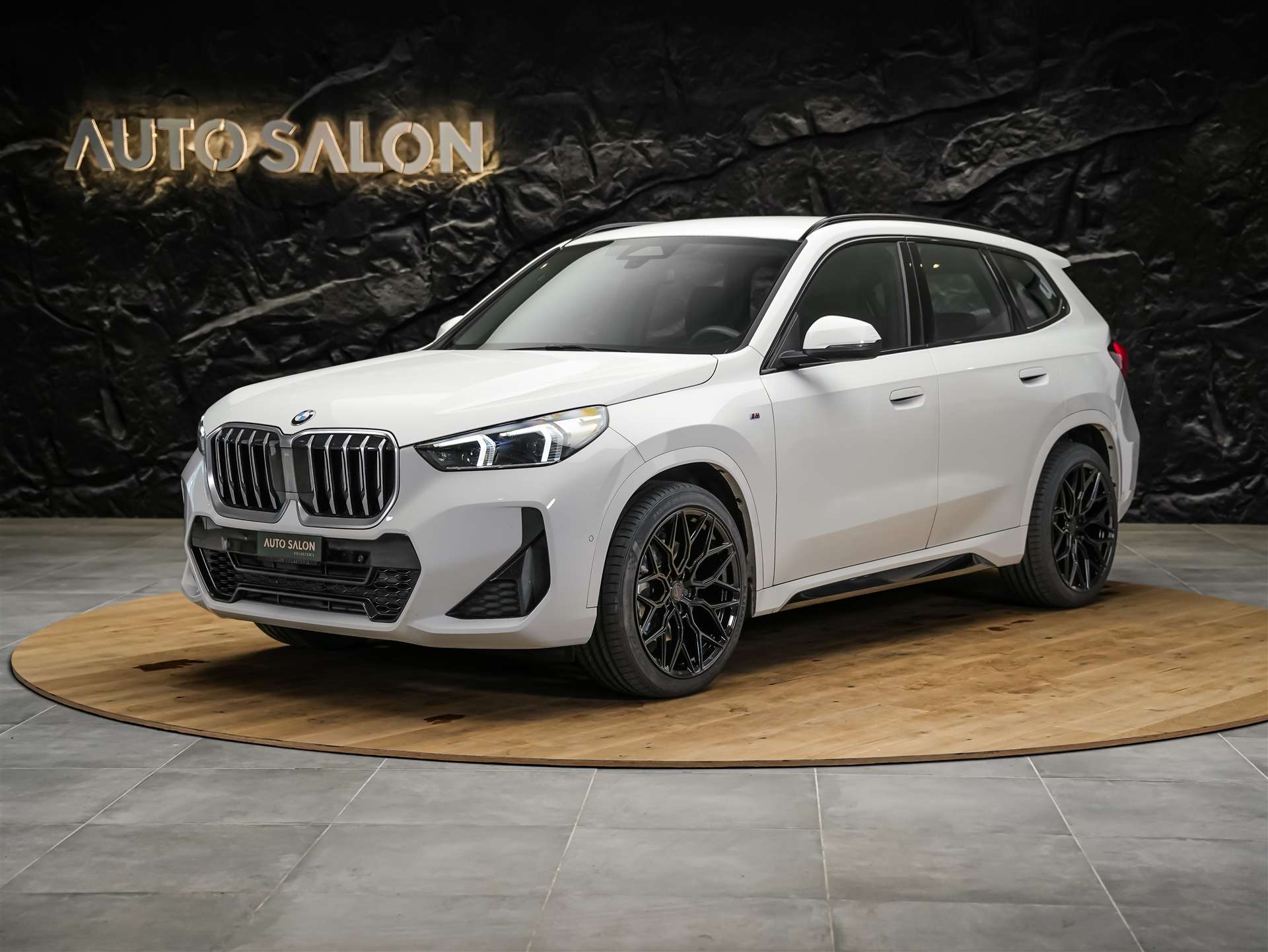 BMW X1 xDrive 23d M Sport *20" Felgen*Werksgarantie*AHK*-image-0