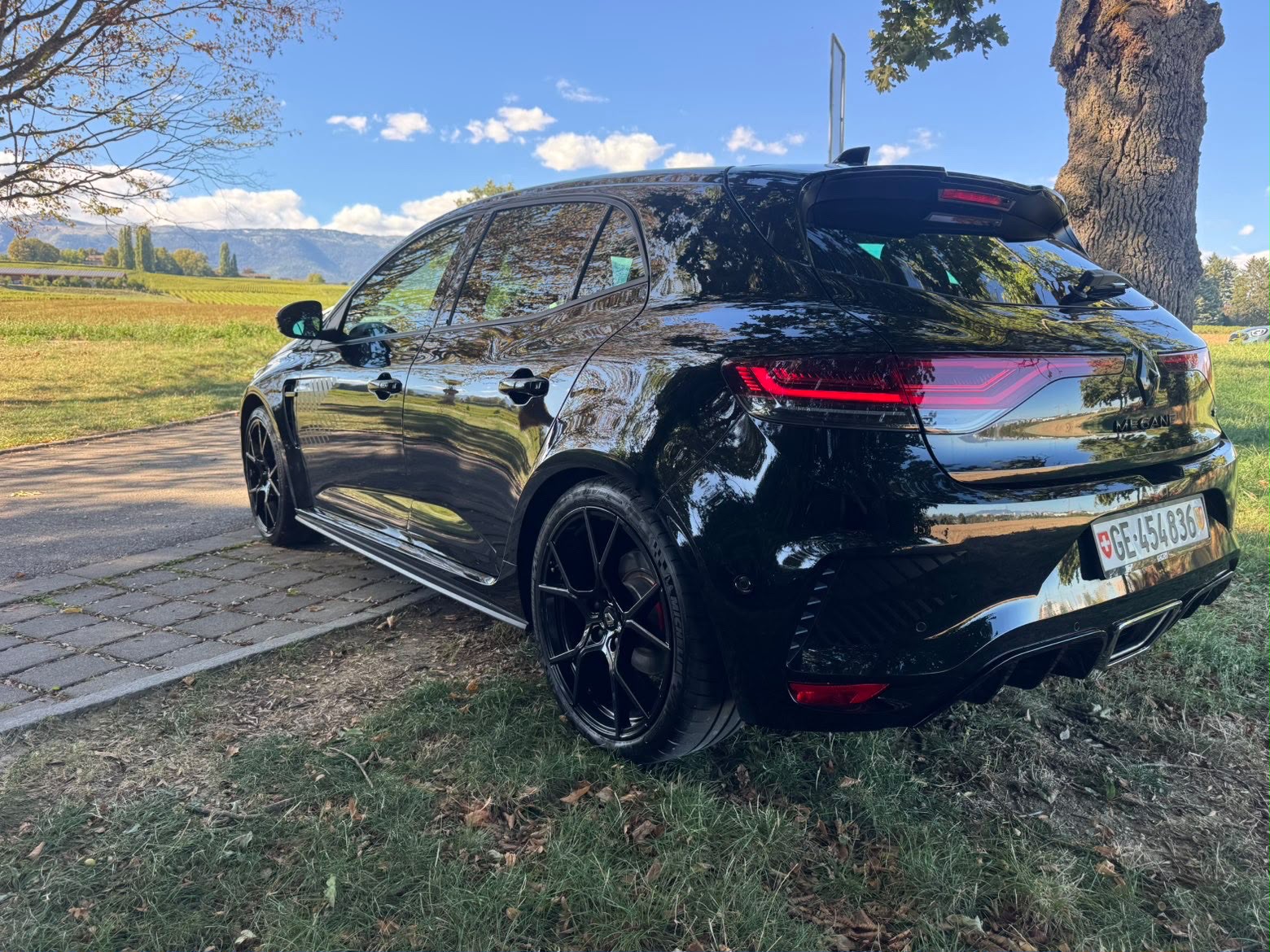 RENAULT Mégane R.S. Ultime 300 EDC-image-4
