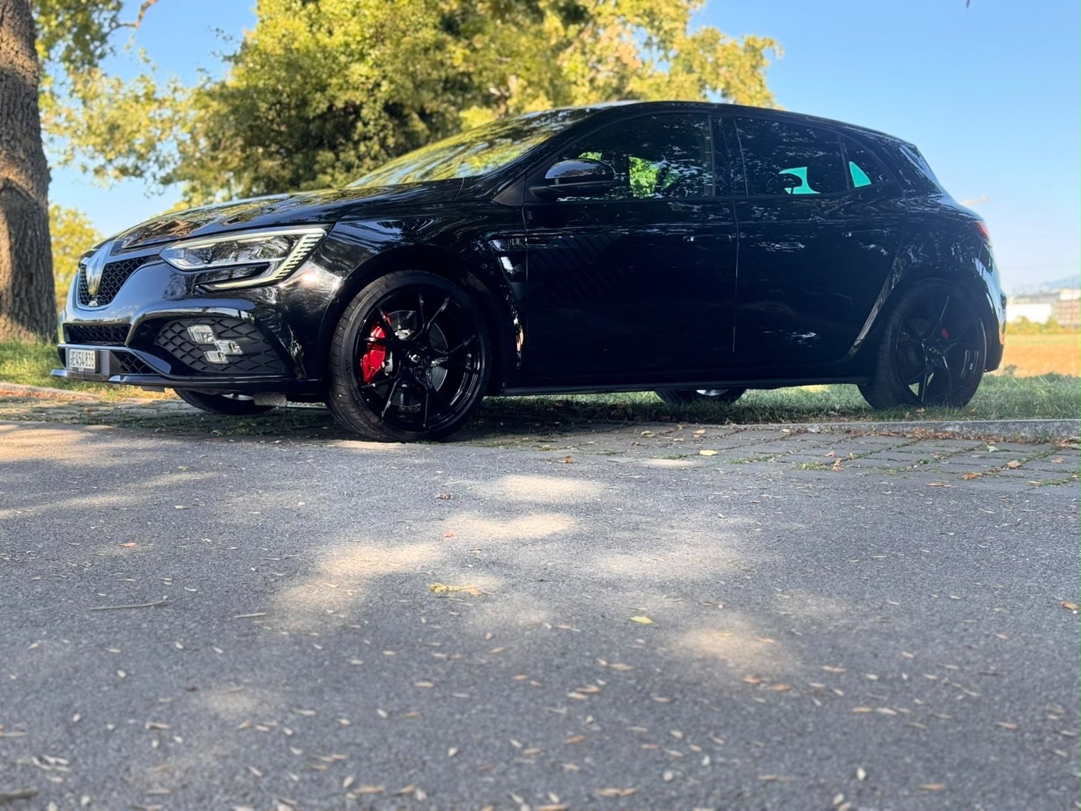 RENAULT Mégane R.S. Ultime 300 EDC-image-6