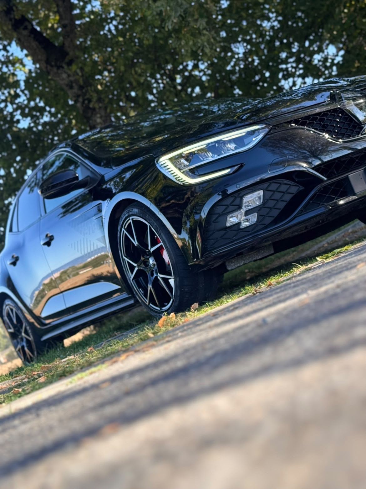 RENAULT Mégane R.S. Ultime 300 EDC-image-1