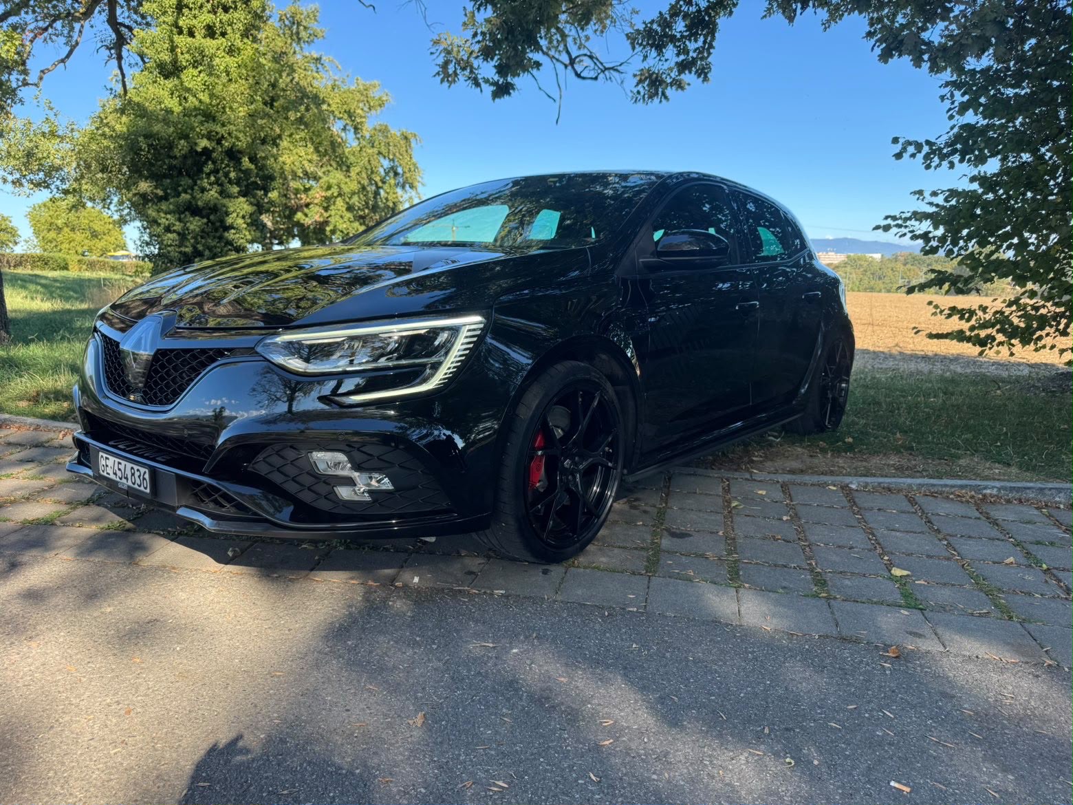 RENAULT Mégane R.S. Ultime 300 EDC-image-5