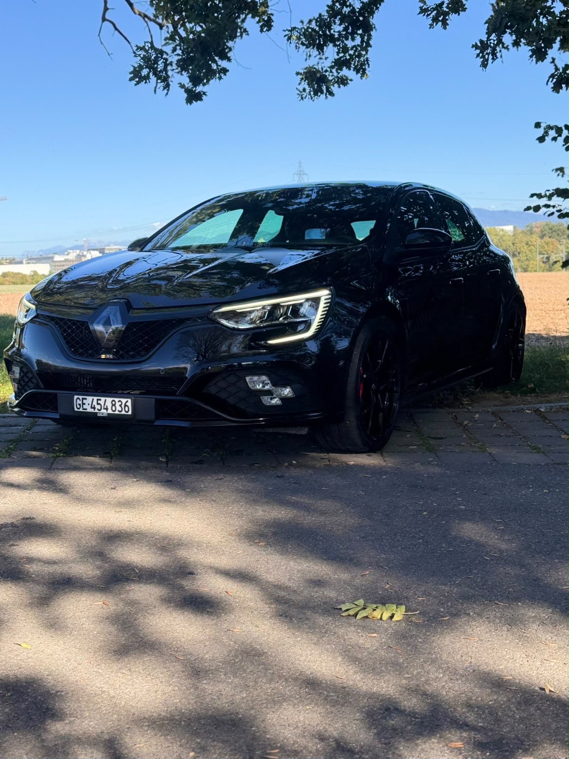 RENAULT Mégane R.S. Ultime 300 EDC-image-0