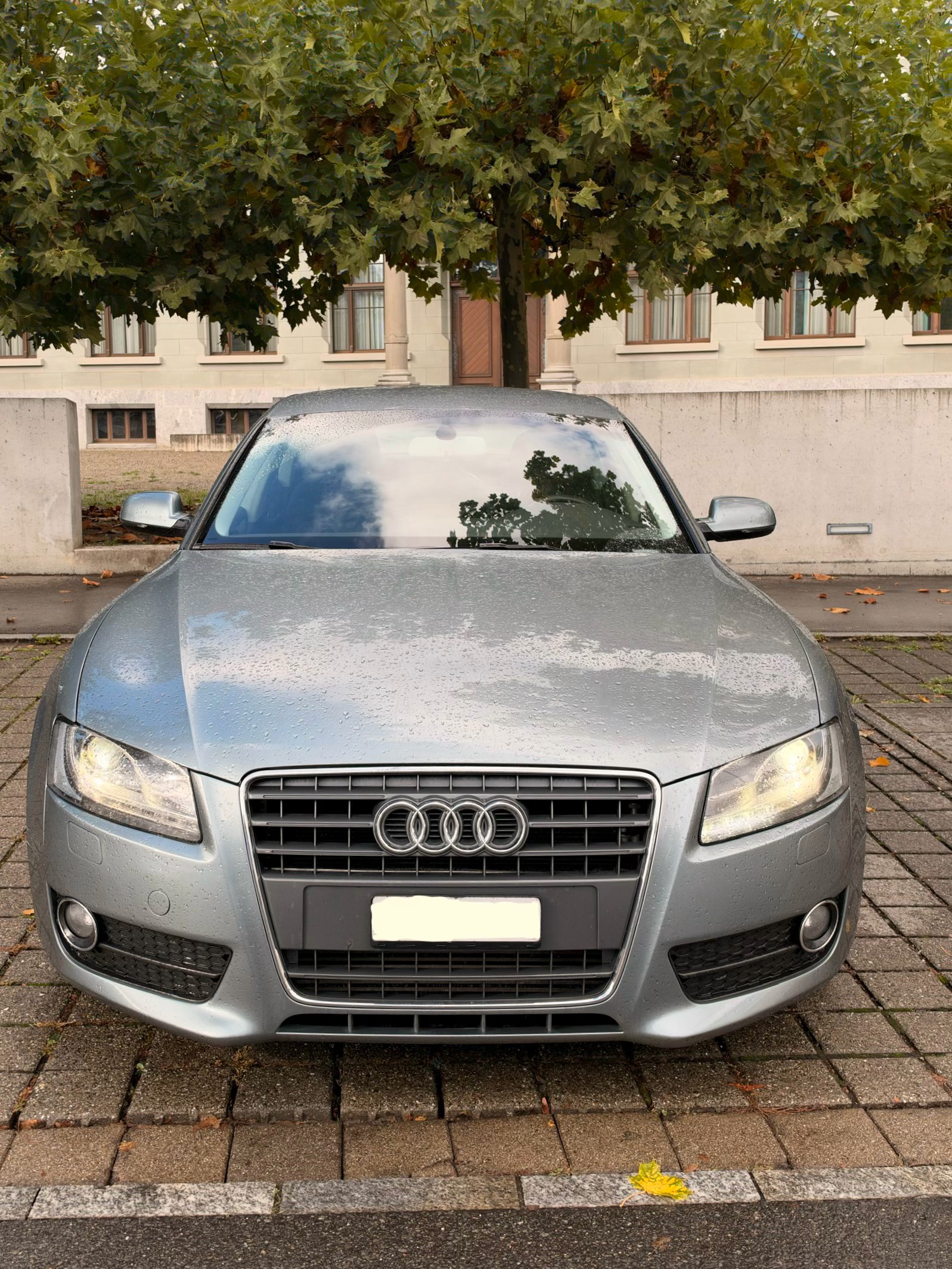 Car photo