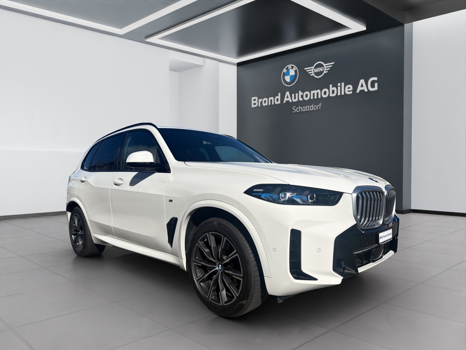 BMW X5 30d xDrive SAG-image-6