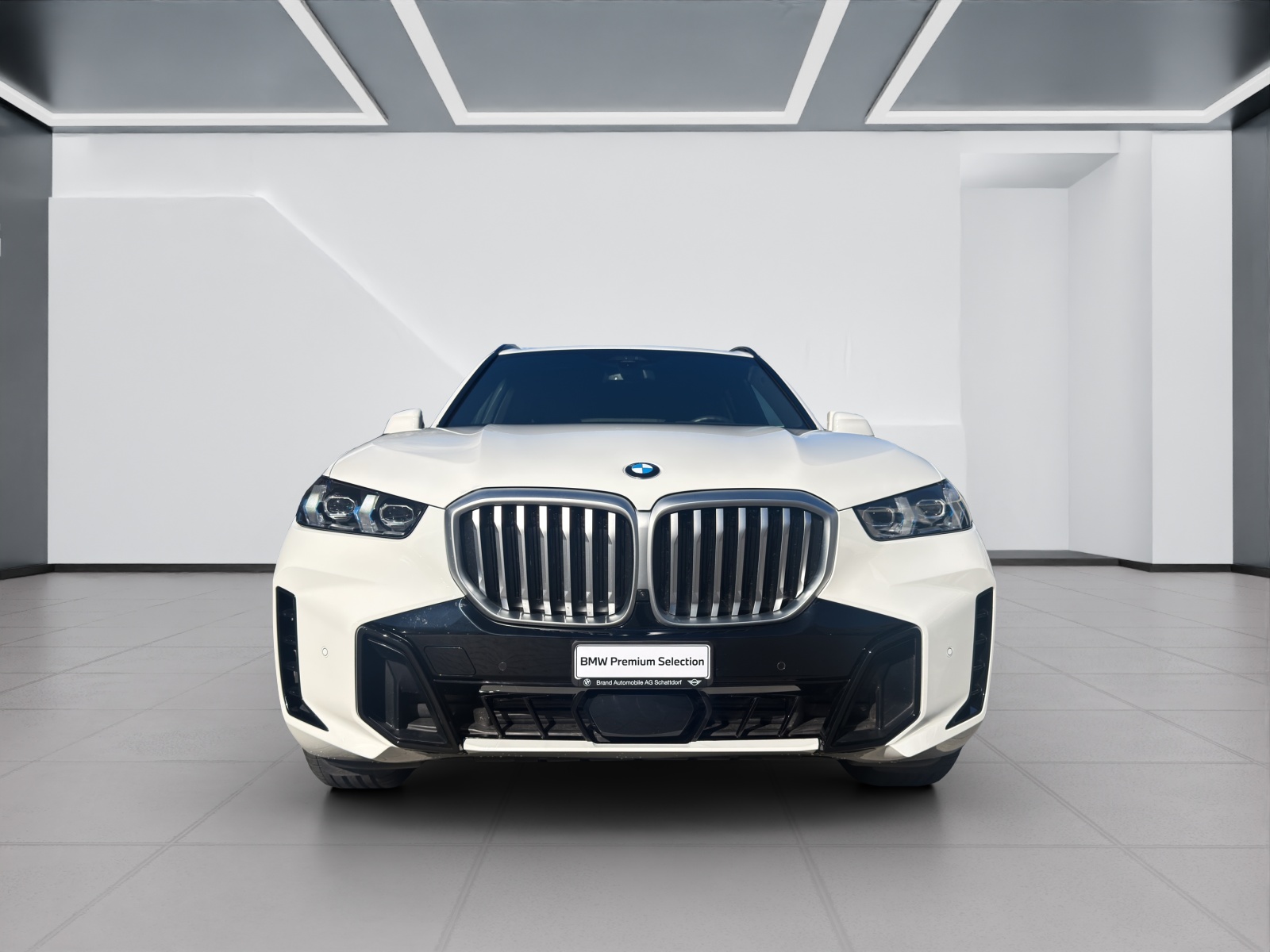 BMW X5 30d xDrive SAG-image-7