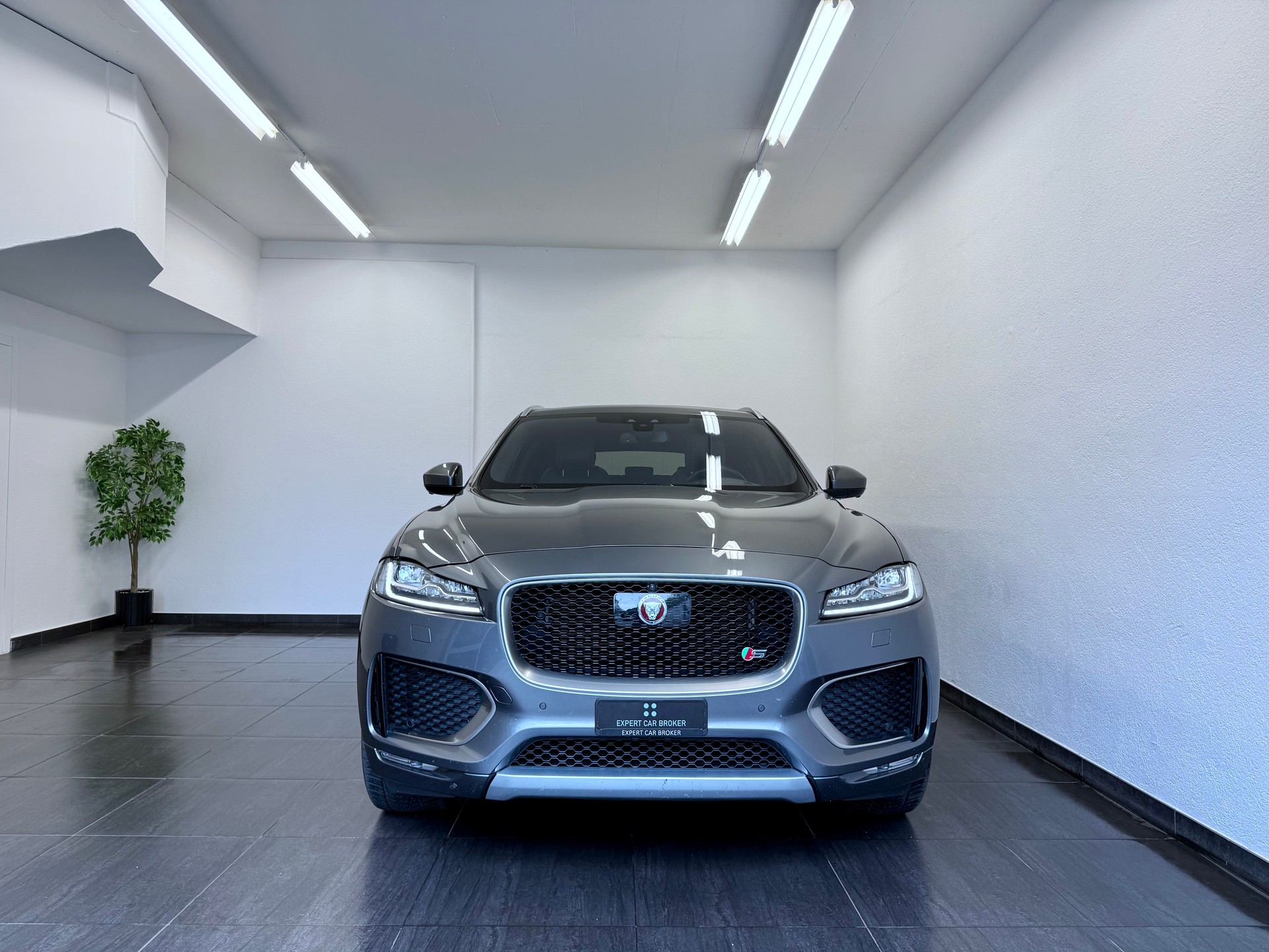 JAGUAR F-Pace 3.0 V6 S AWD Automatik-showroom-element-3