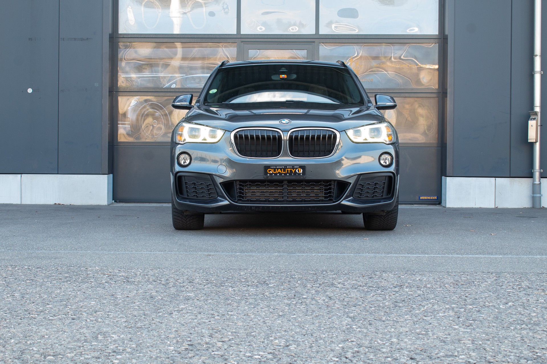 BMW X1 xDrive 25d M Sport Steptronic-image-2
