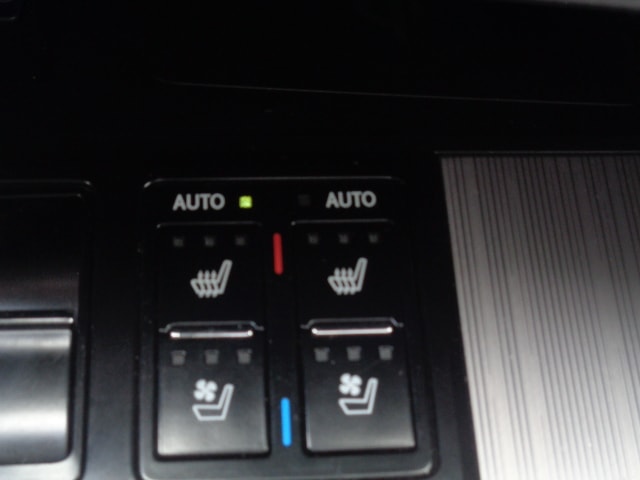LEXUS RX 450h F-Sport AWD CVT-image-11