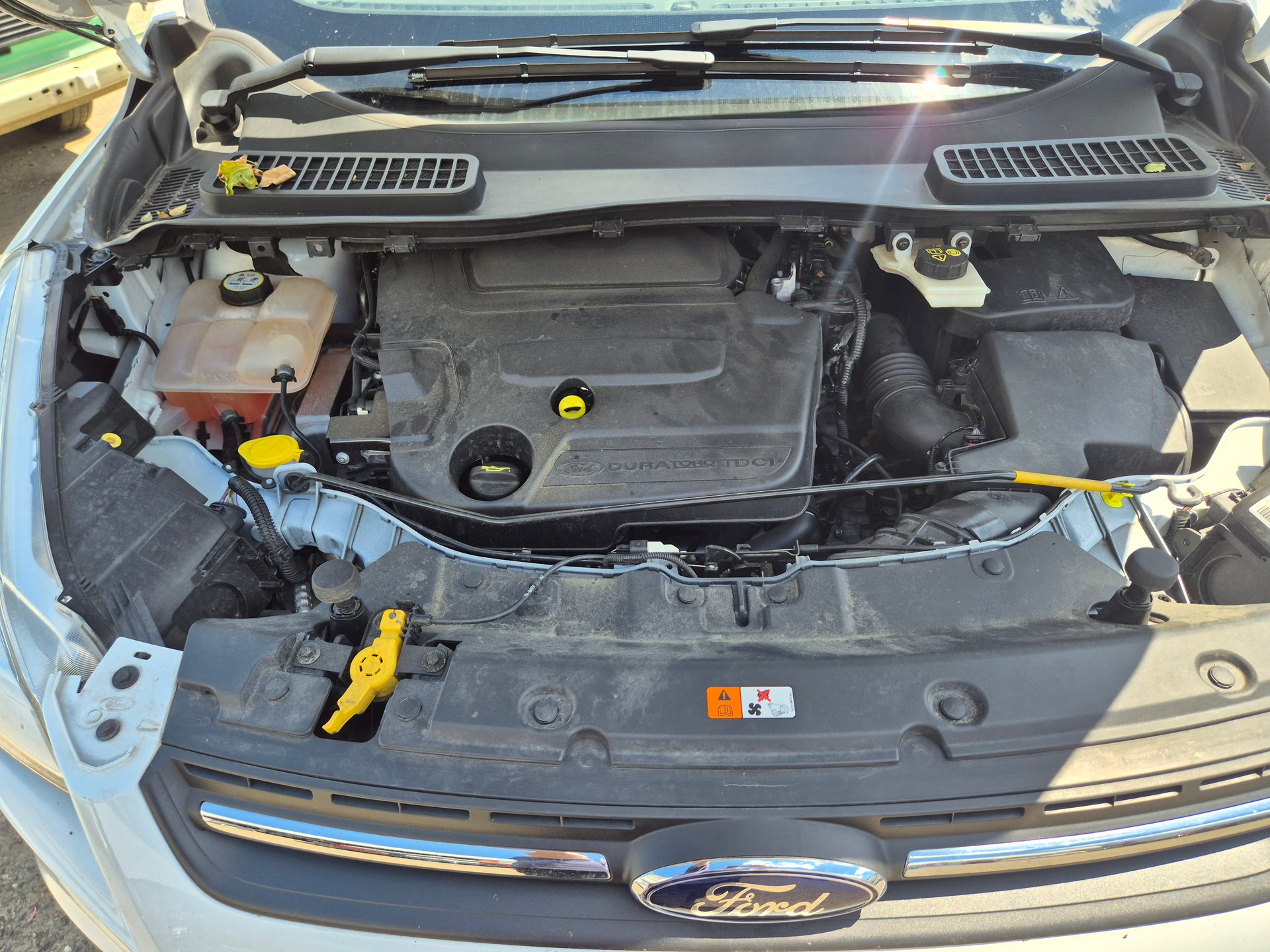 FORD Kuga 2.0 TDCi Carving 4WD PowerShift-image-11