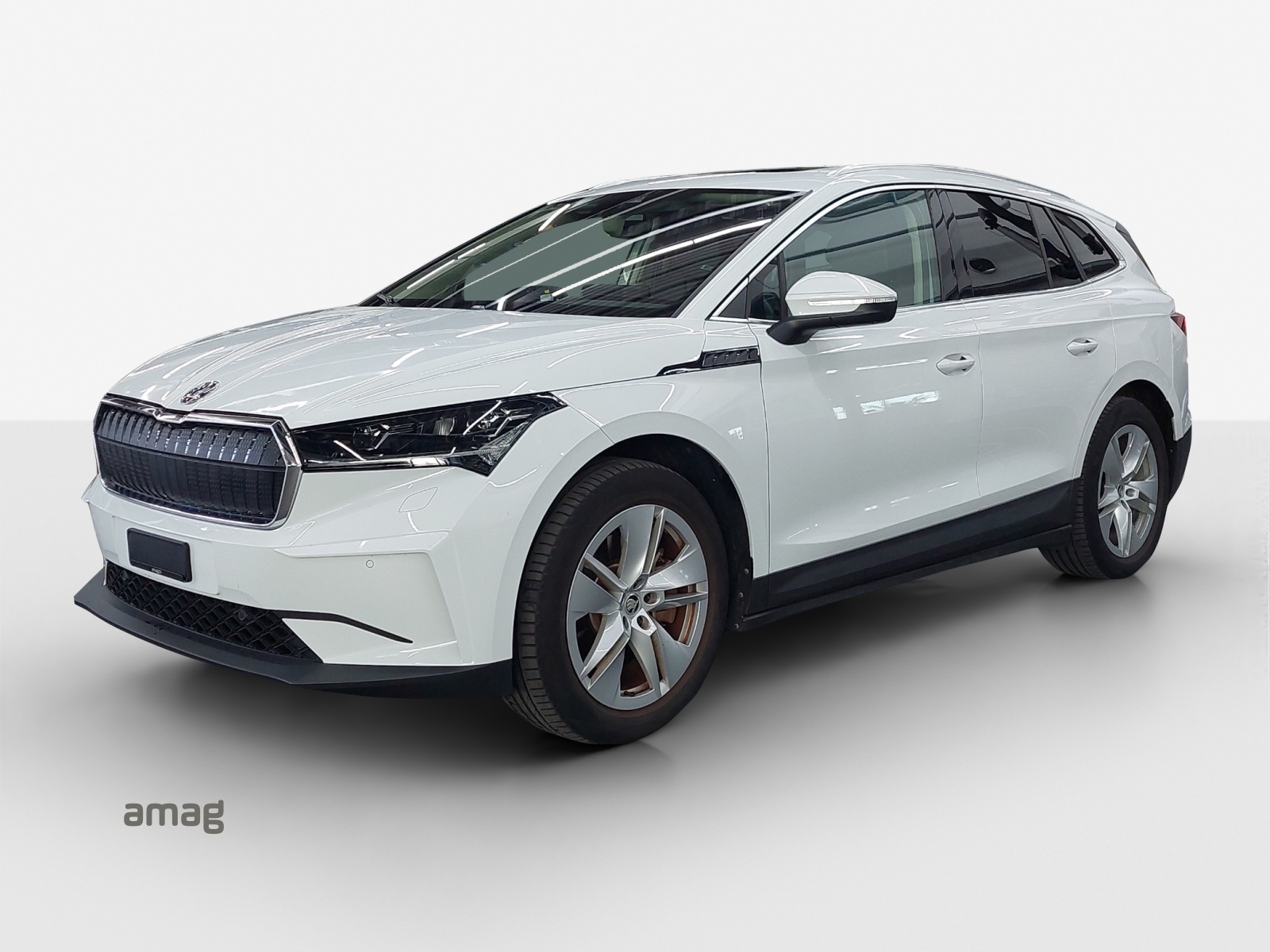 SKODA Enyaq iV 80-image-0