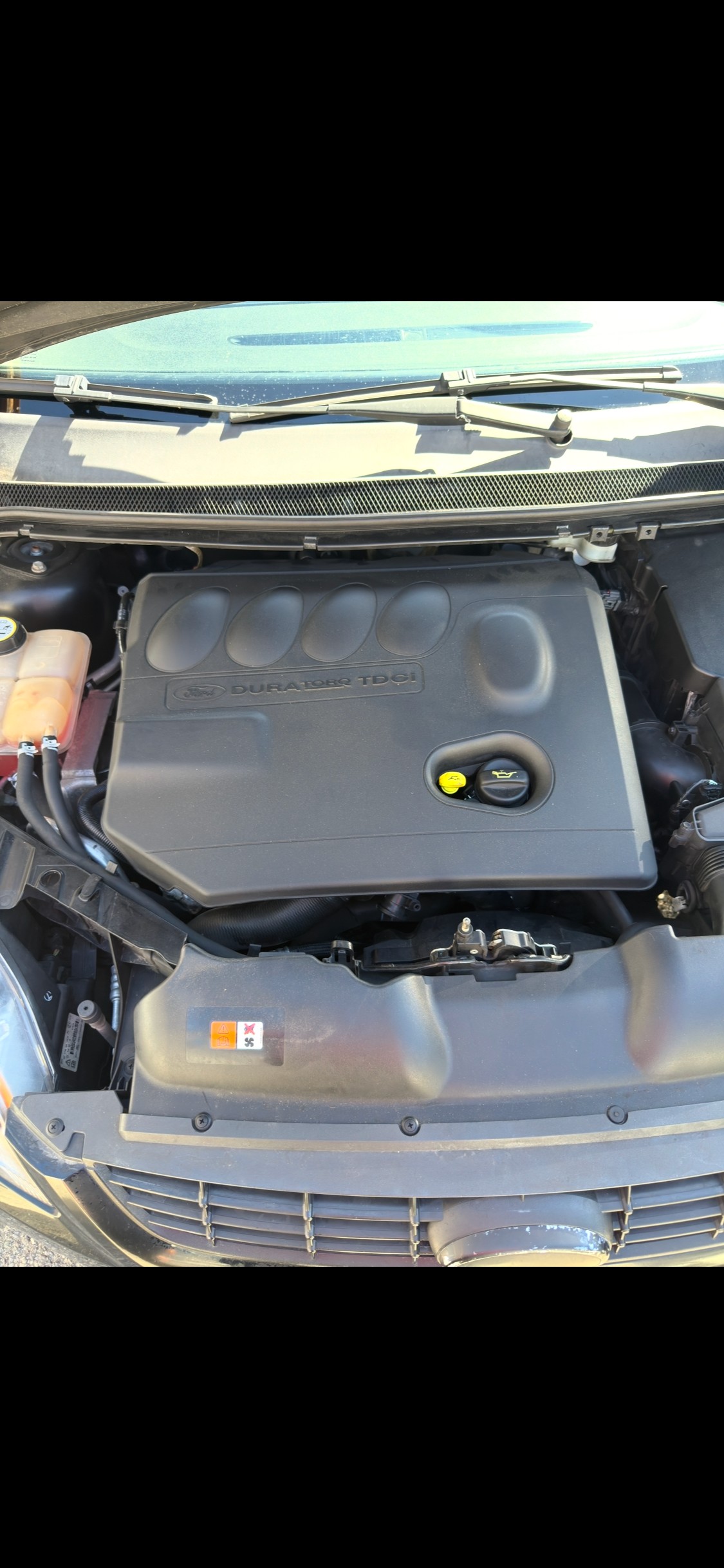 FORD 2.0 16V TDCi Carving friendsh.-image-4