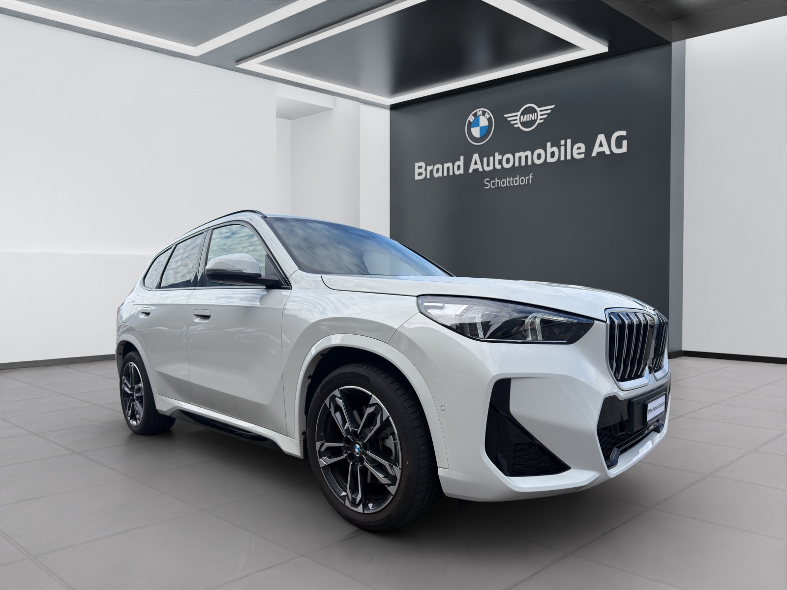 BMW X1 23d xDrive-image-6