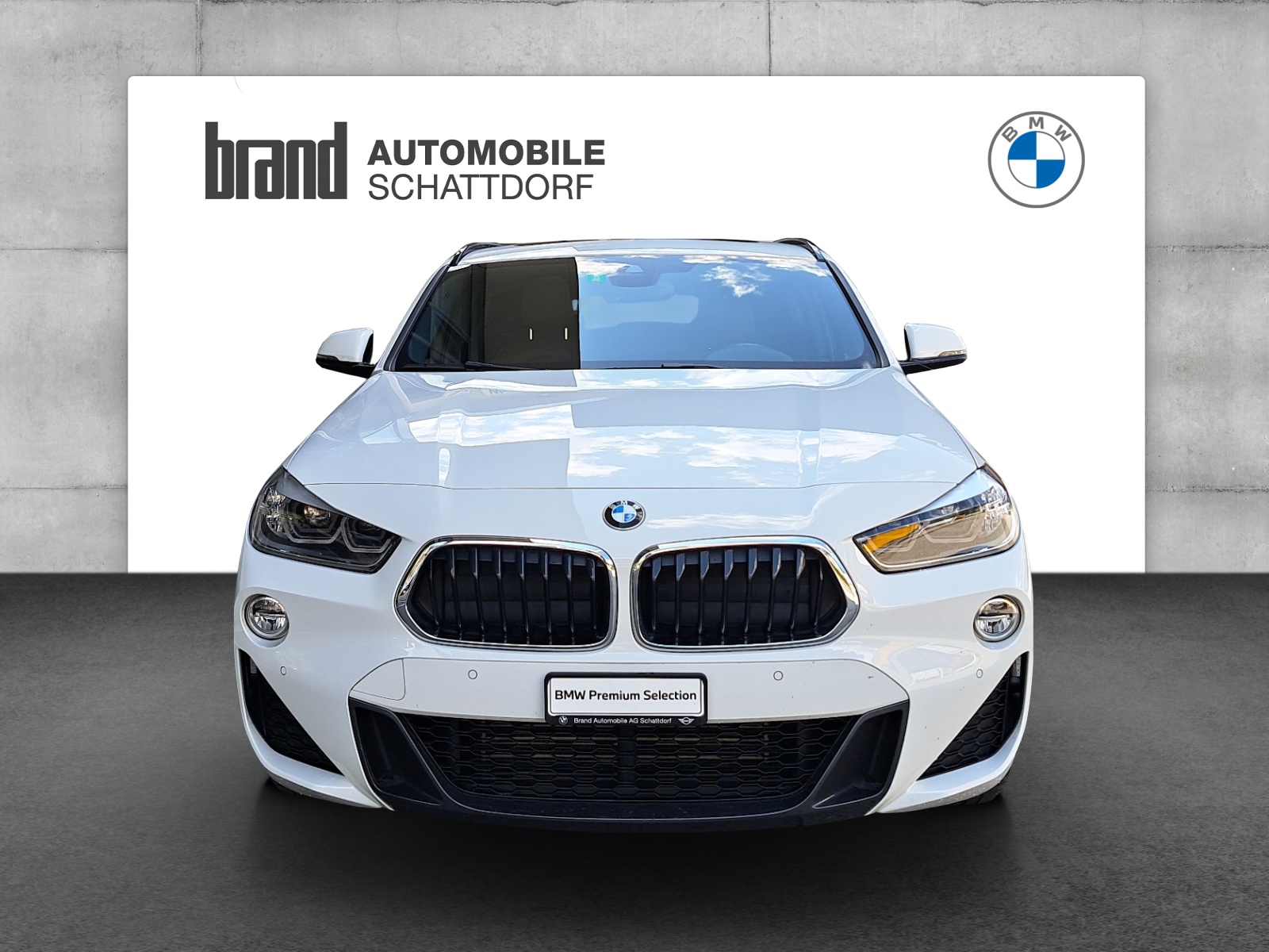 BMW X2 25d xDrive SAG-image-1