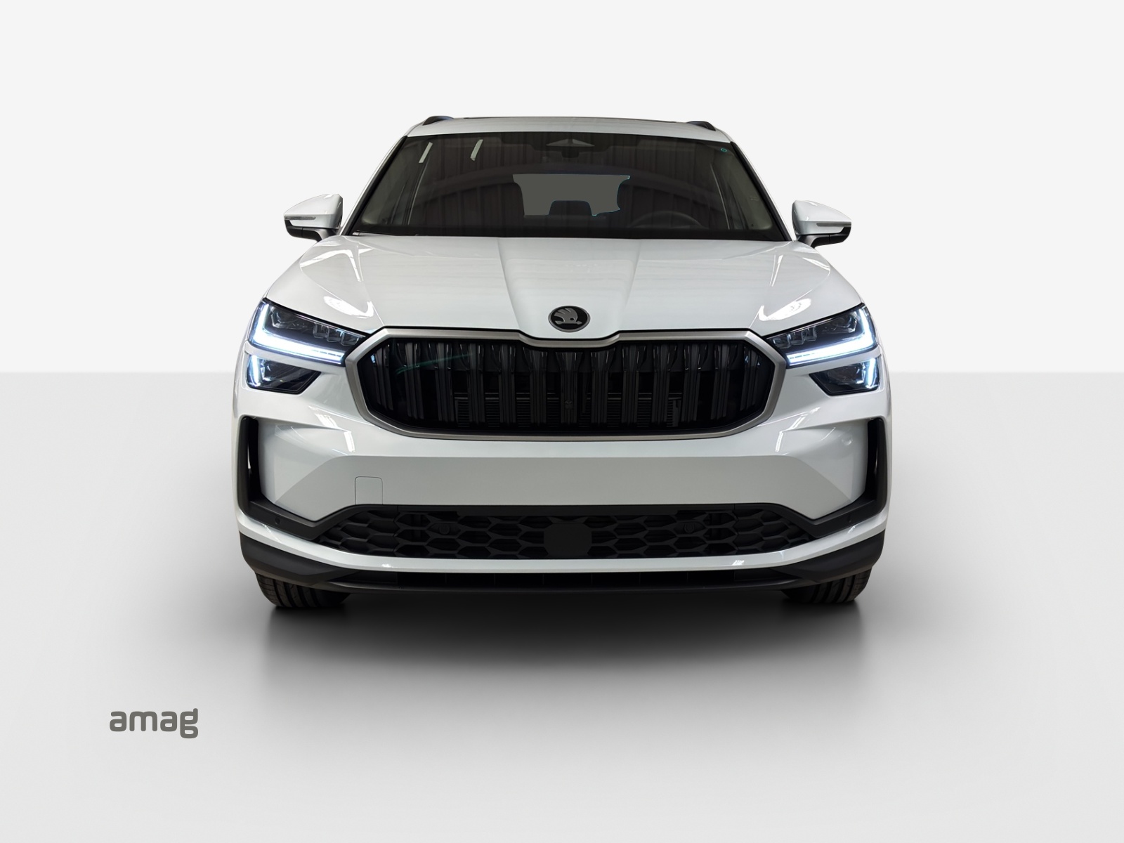 SKODA Kodiaq 2.0 TSI Dynamic 4x4-image-0