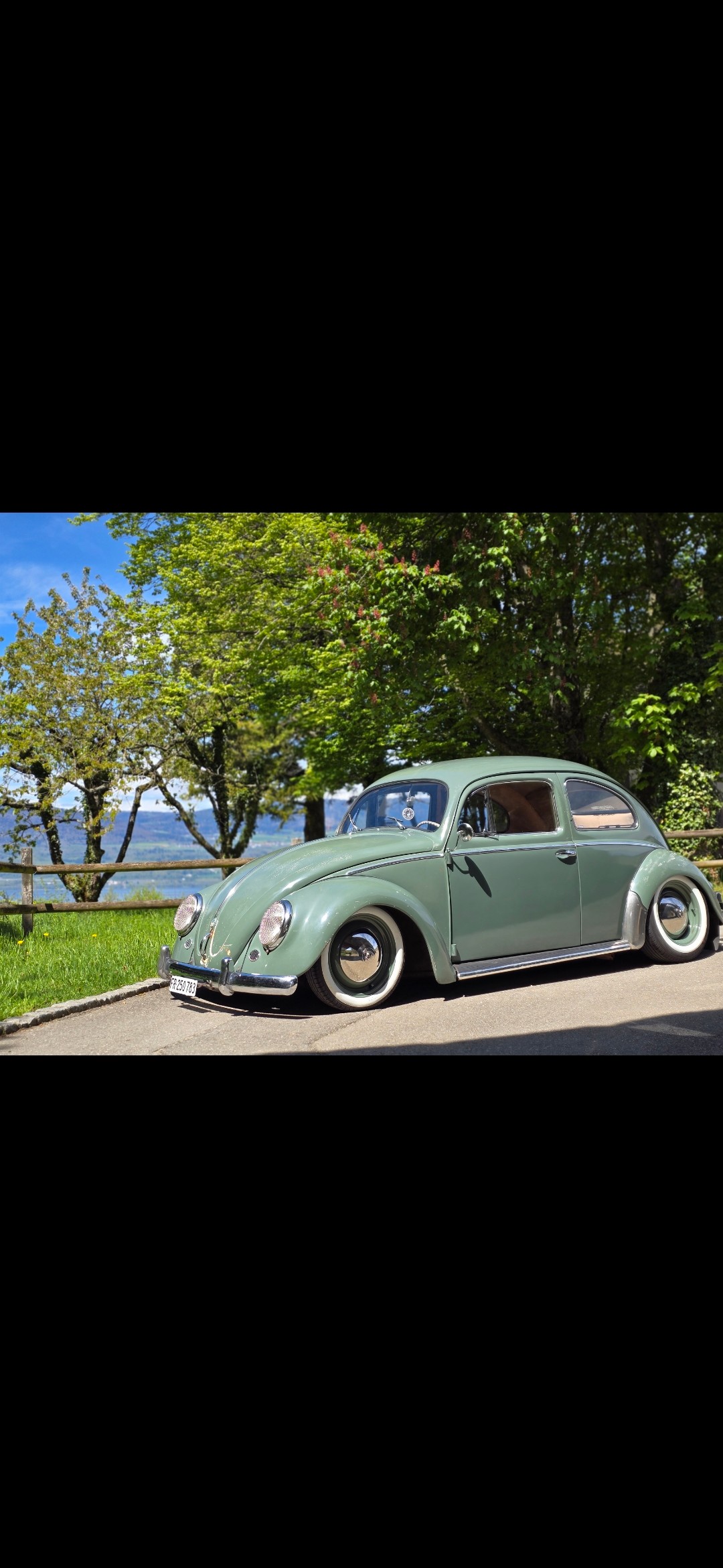 VW Oval-image-1