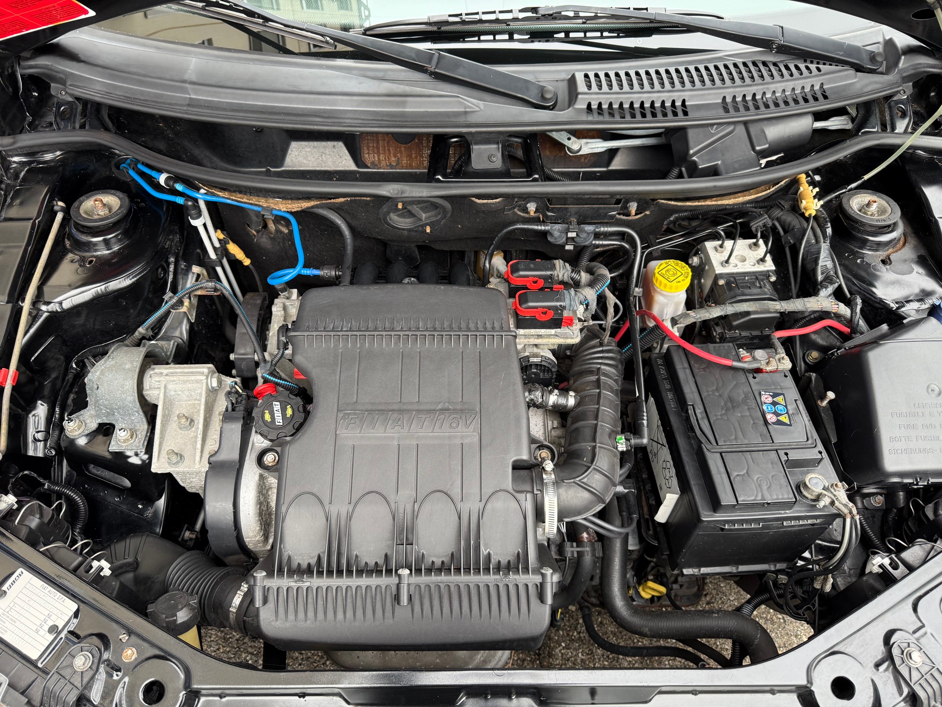 FIAT Punto 1.2 16V ELX Speedgear-image-14