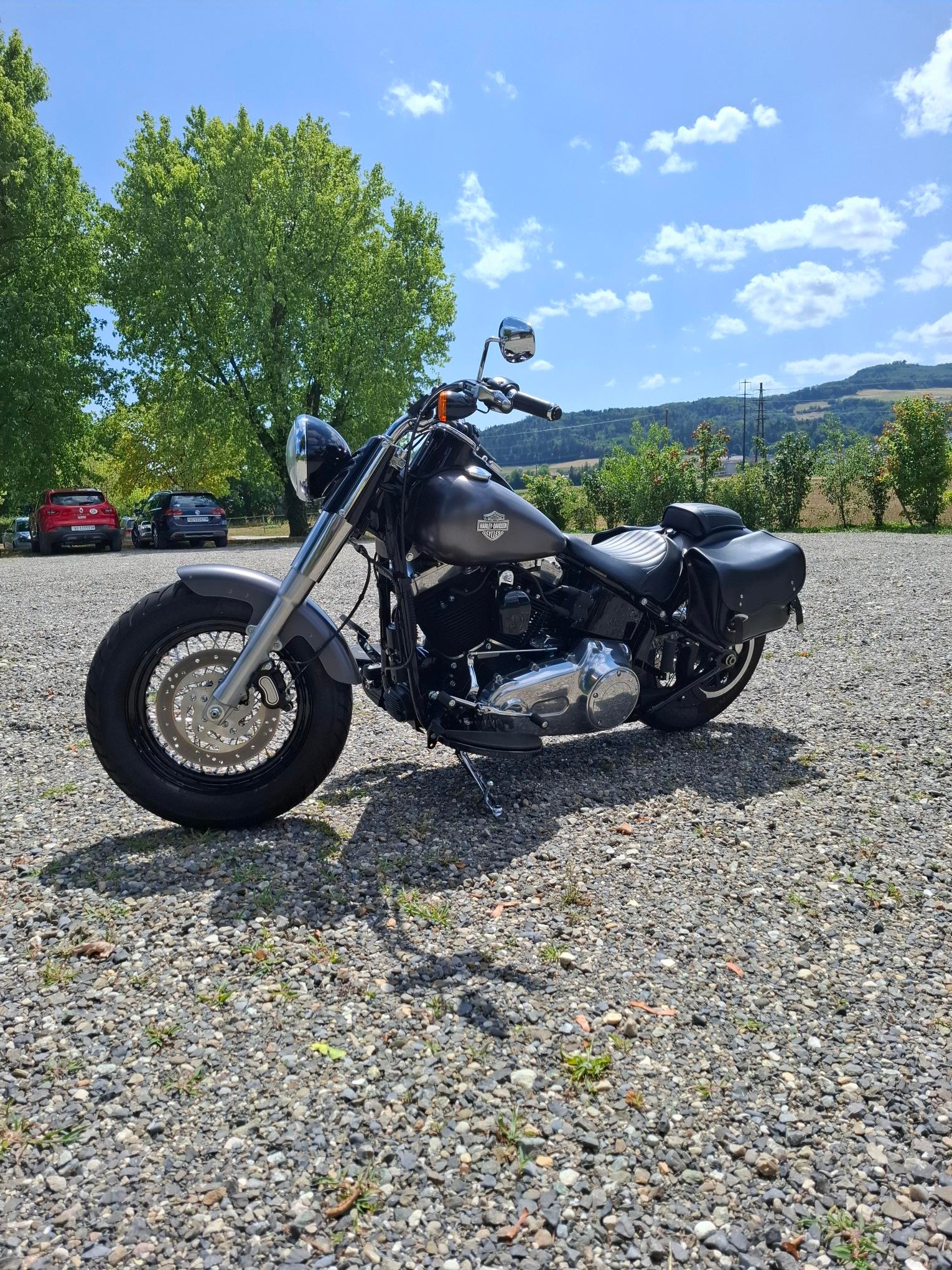 HARLEY-DAVIDSON FLS Softail Slim ABS-image-1