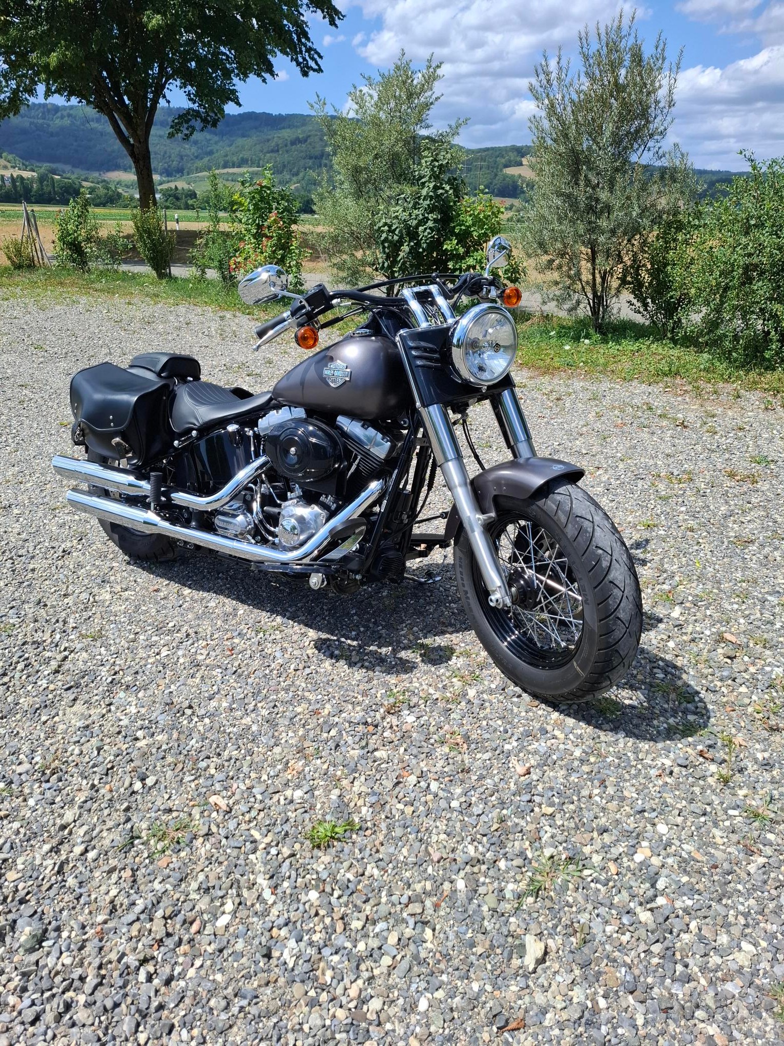 HARLEY-DAVIDSON FLS Softail Slim ABS