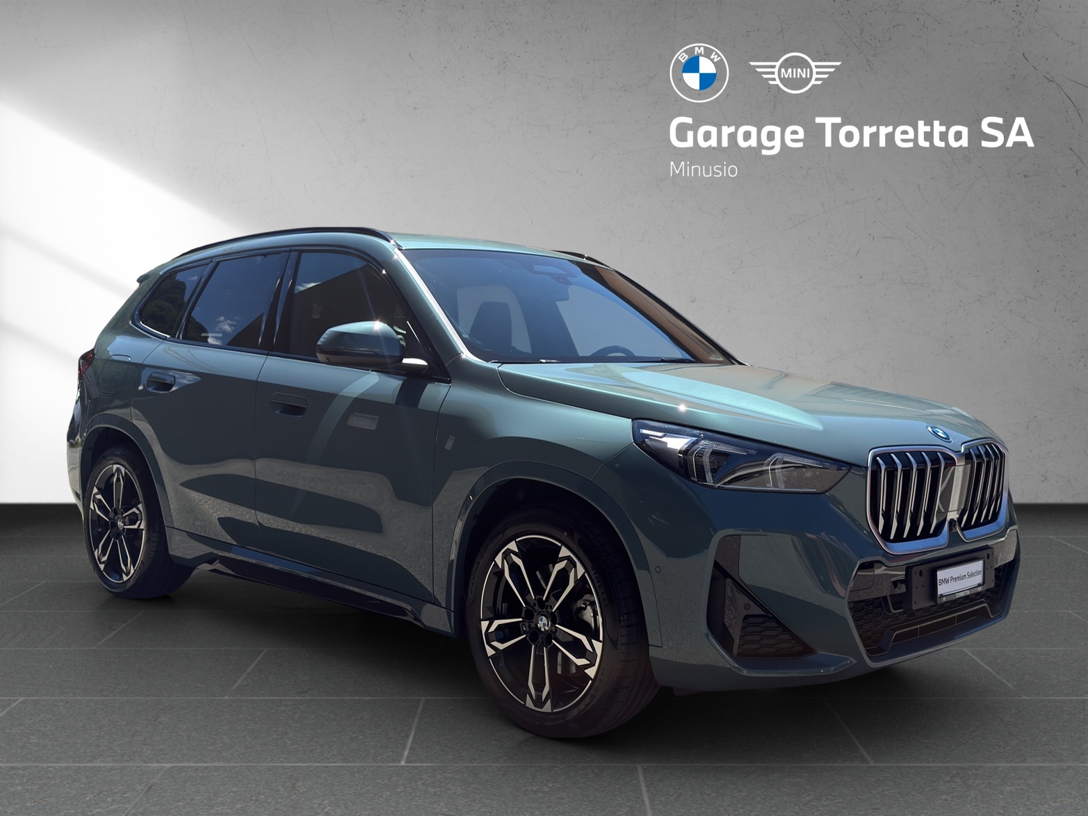 BMW X1 xDrive 30e M Sport-image-6
