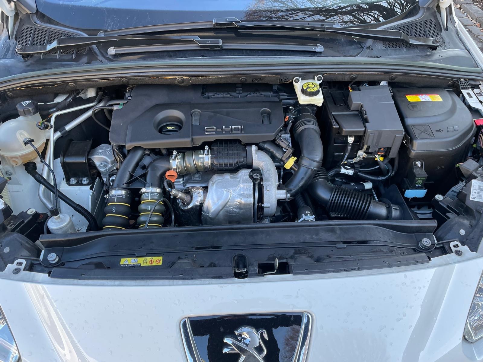 PEUGEOT 308 SW 1.6 HDI Business EGS6-image-10