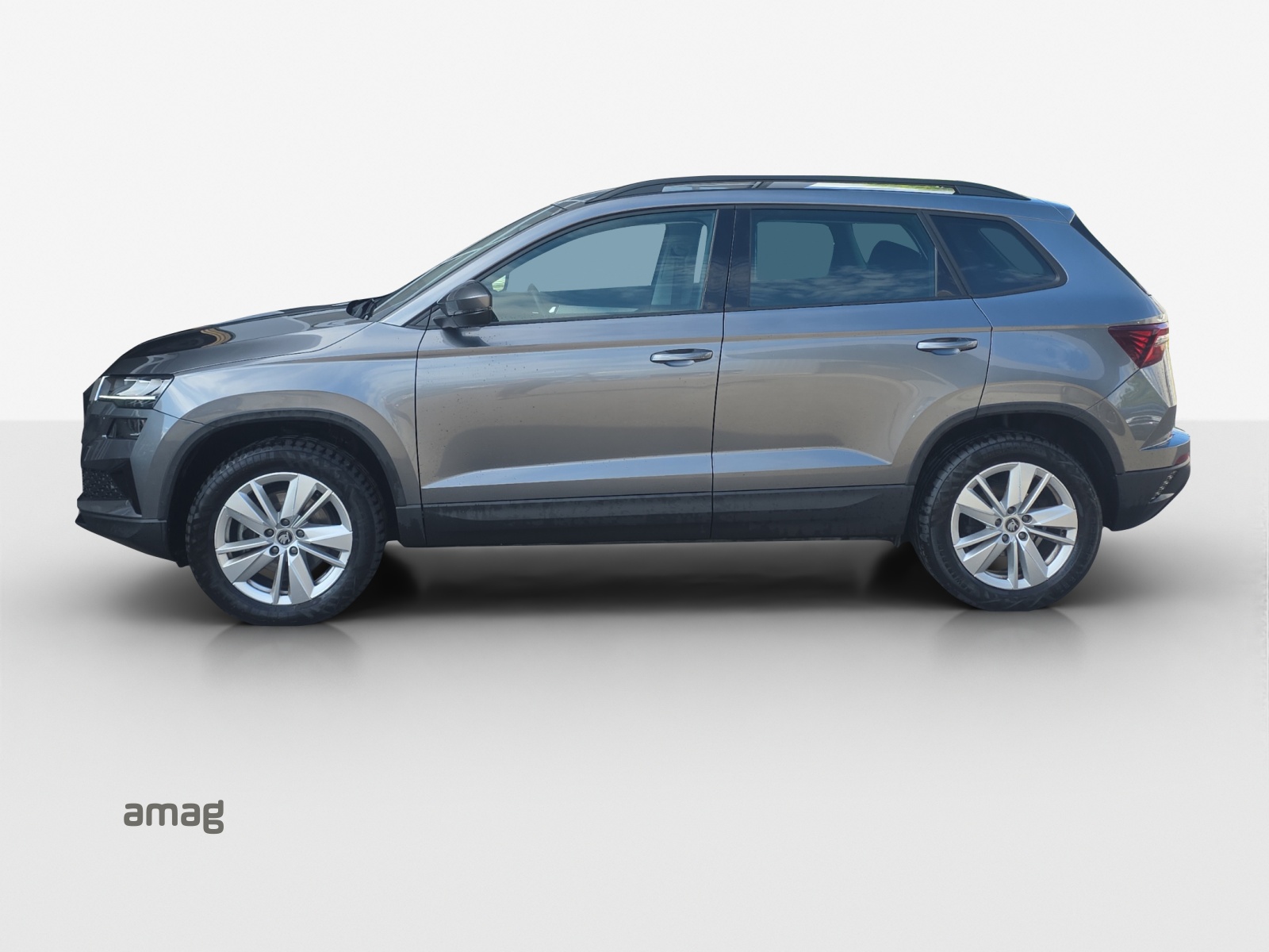 SKODA Karoq 2.0 TDI CR Selection 4x4 DSG-image-1