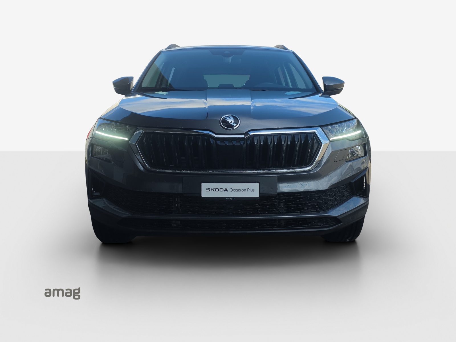 SKODA Karoq 2.0 TDI CR Selection 4x4 DSG-image-6
