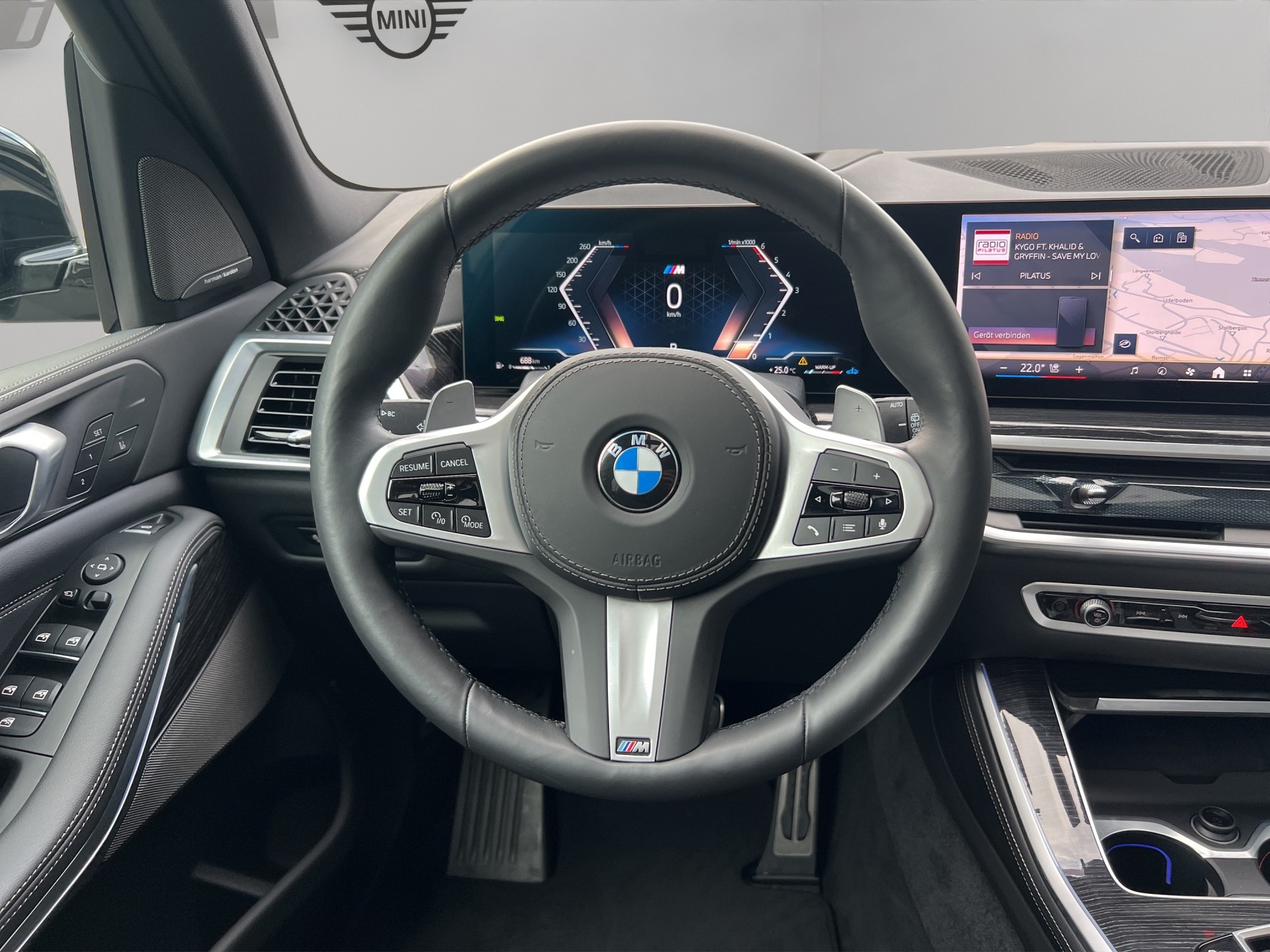 BMW X5 xDrive 48V 40d M Sport Pro Steptronic-image-13