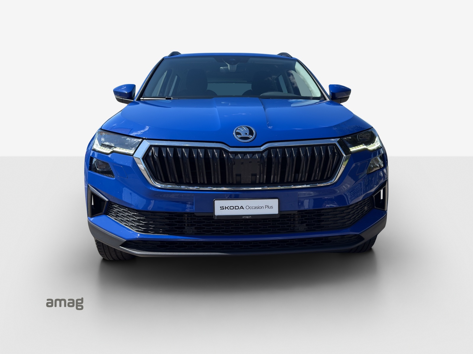 SKODA Karoq 1.5 TSI Style DSG-image-6