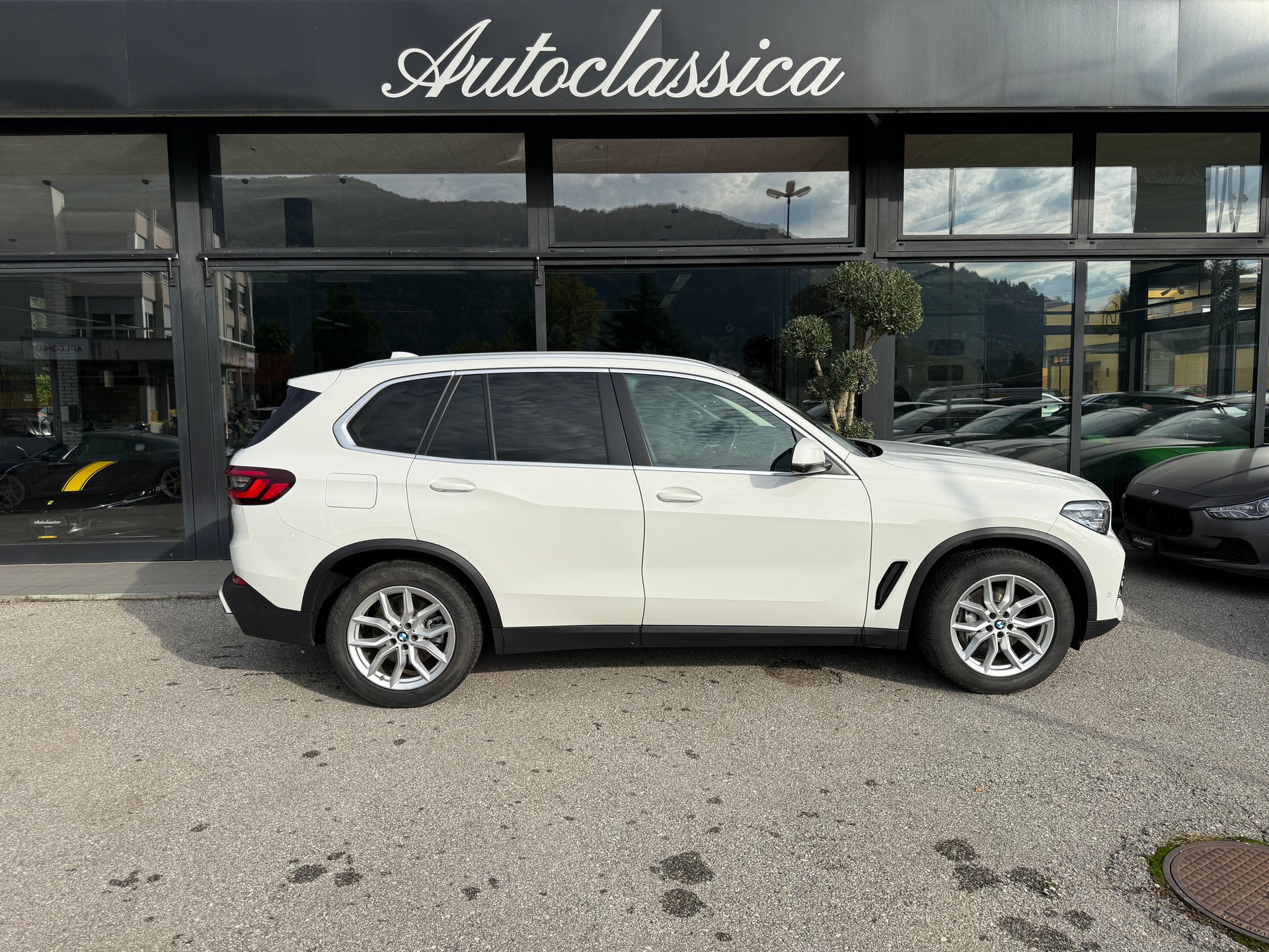 BMW X5 xDrive 48V 30d Steptronic-showroom-element-3