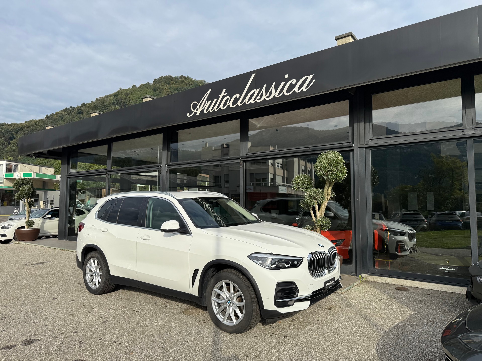 BMW X5 xDrive 48V 30d Steptronic-image-4