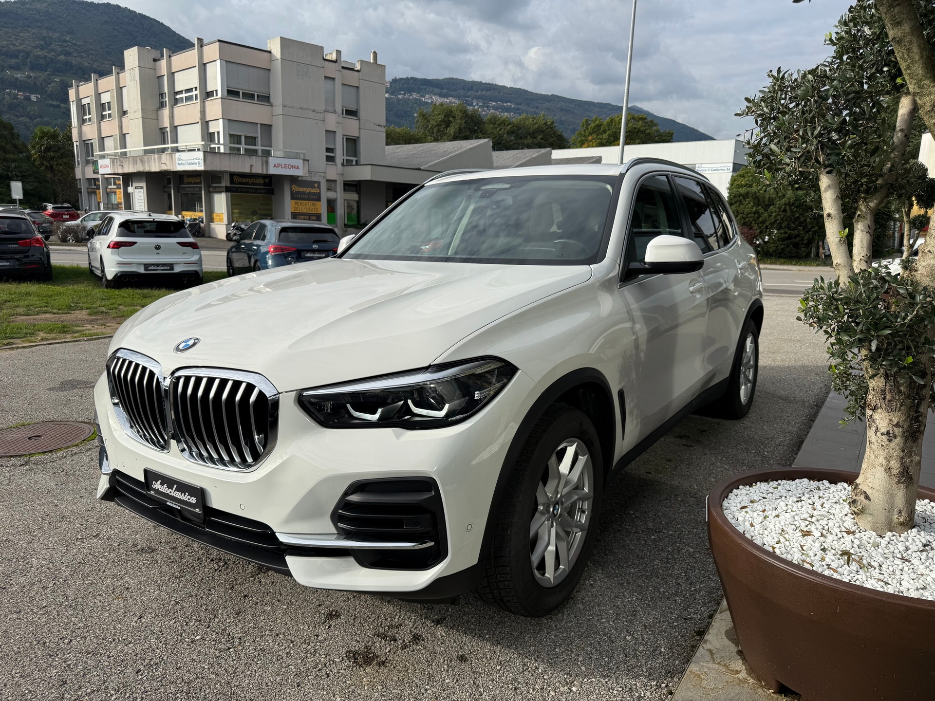 BMW X5 xDrive 48V 30d Steptronic-image-5