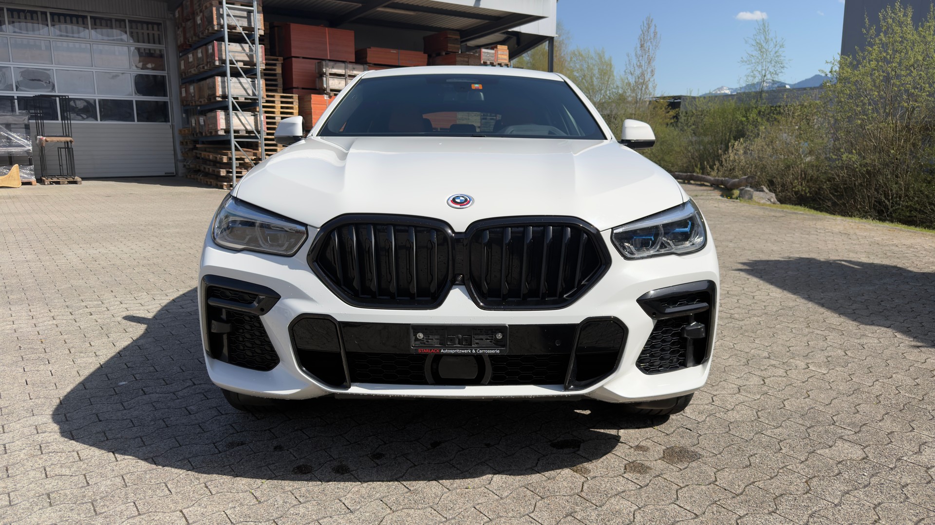 BMW X6 xDrive 48V 30d M Sport Steptronic-image-6