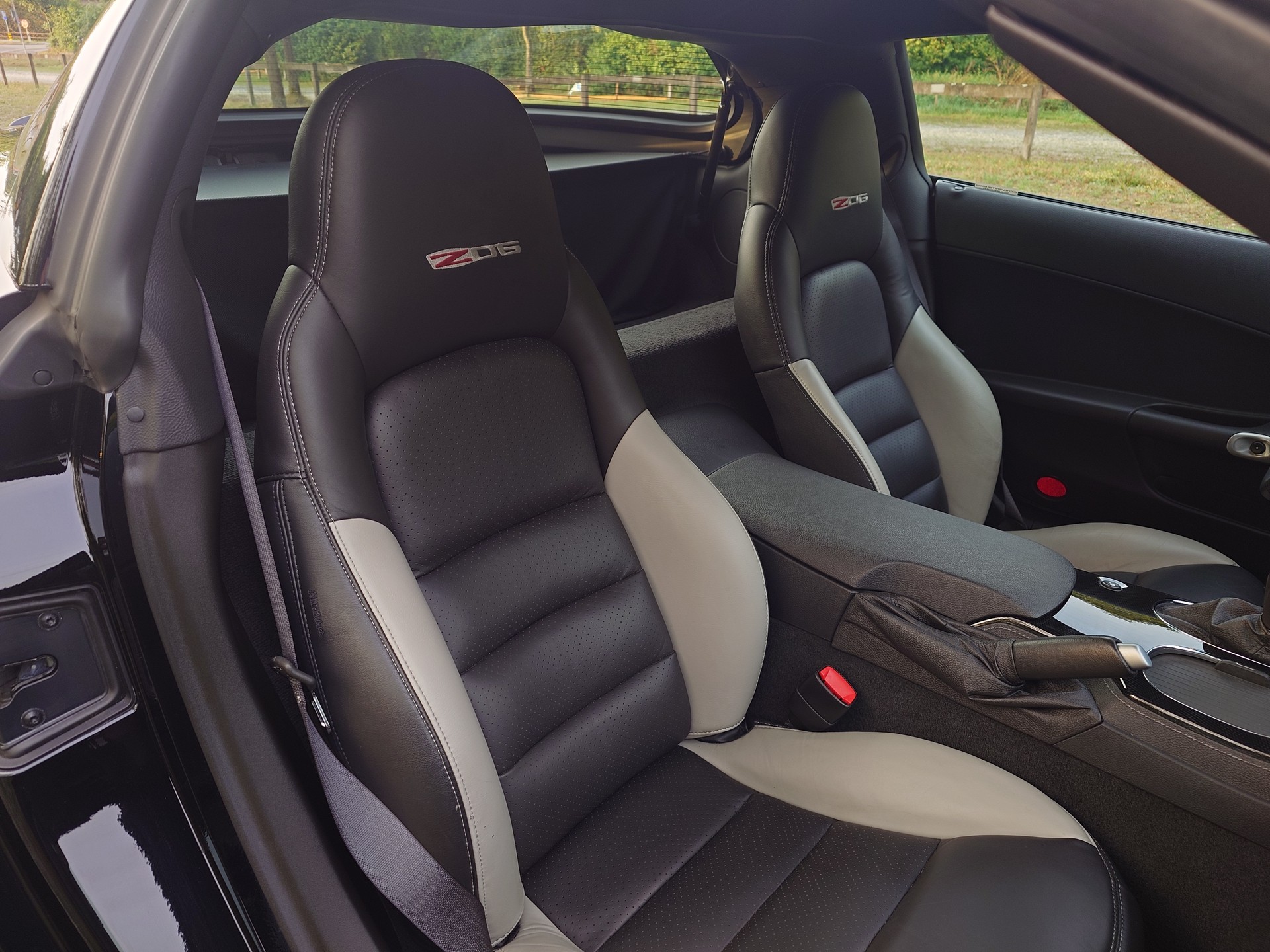 CHEVROLET Corvette Z06-image-10