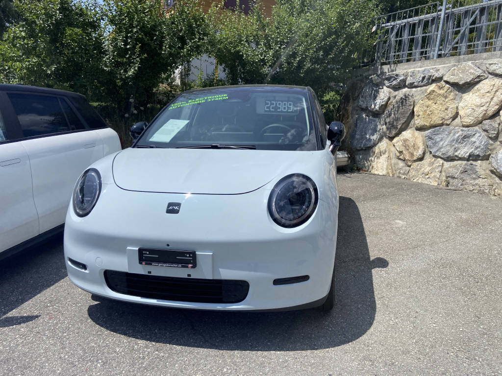 JAC E30X Electric-image-0